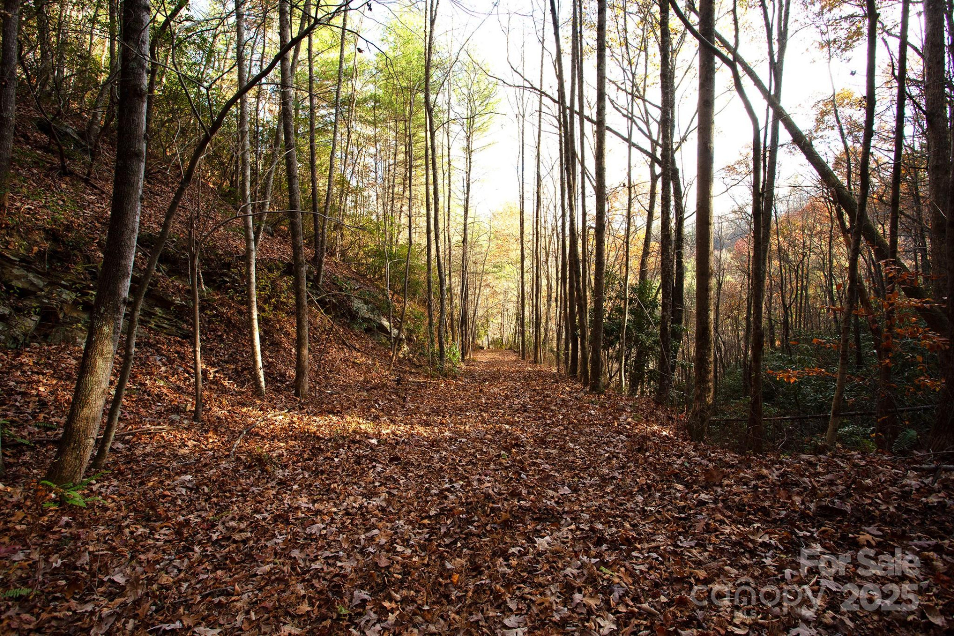 TBD Rector Branch Road #4 - Photo 3