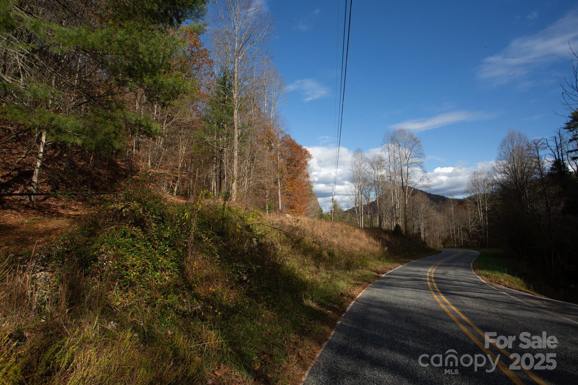 TBD Rector Branch Road #4 - Photo 4