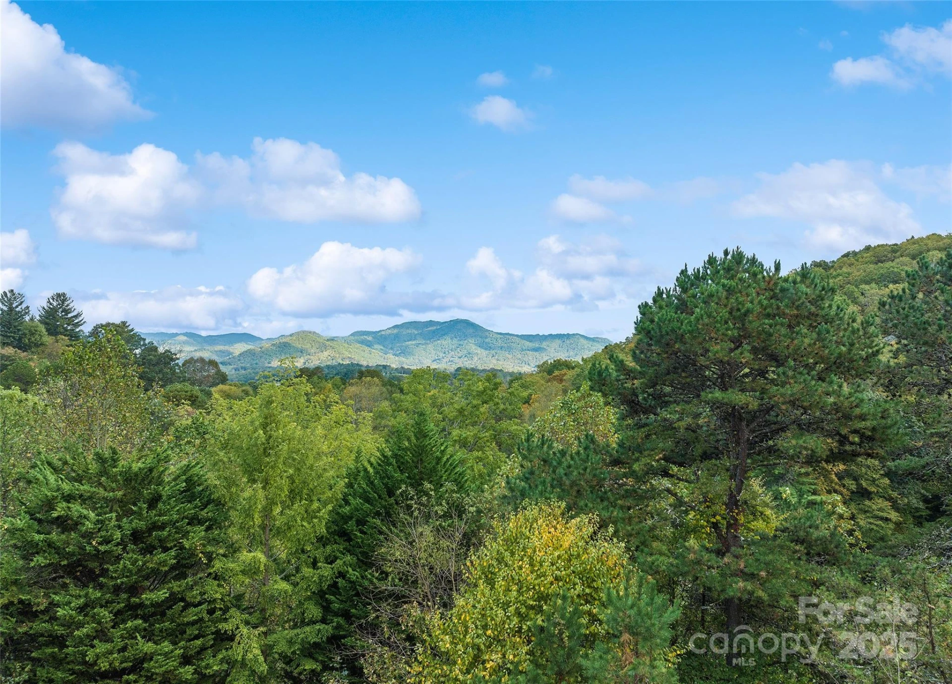 966 Coyote Hollow Road - Photo 3