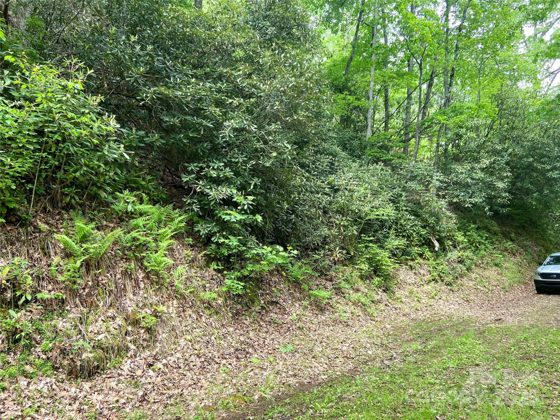 Lot 10 Mystic Forest Way #10 - Photo 3