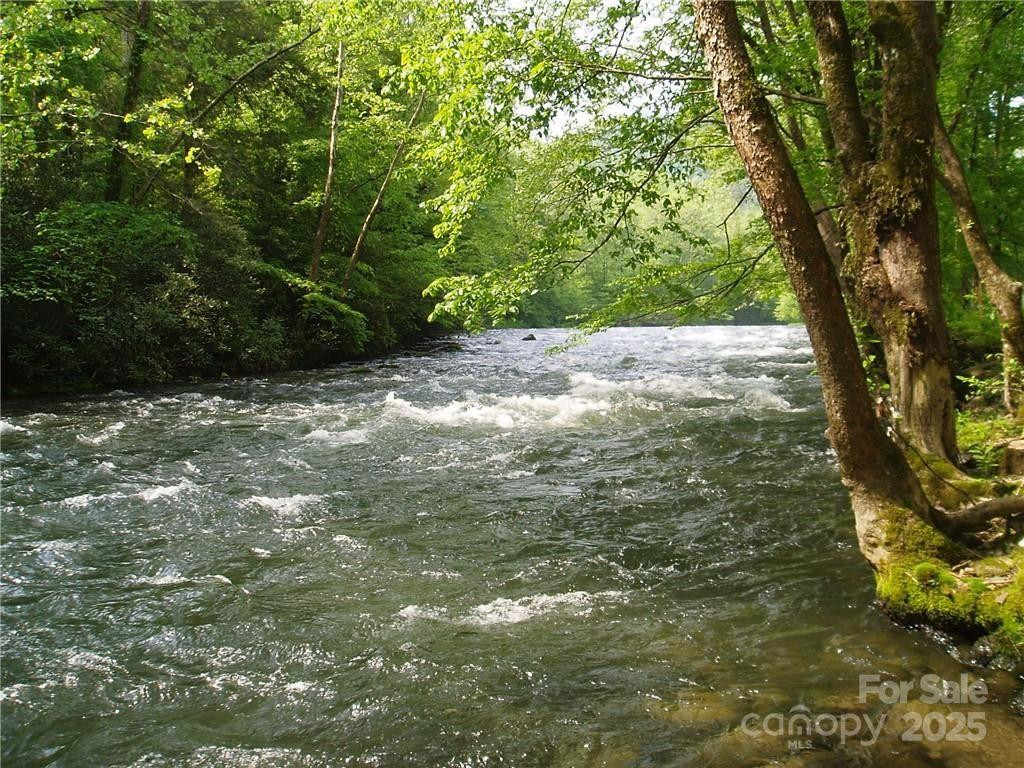 Lot 10 Mystic Forest Way #10 - Photo 29