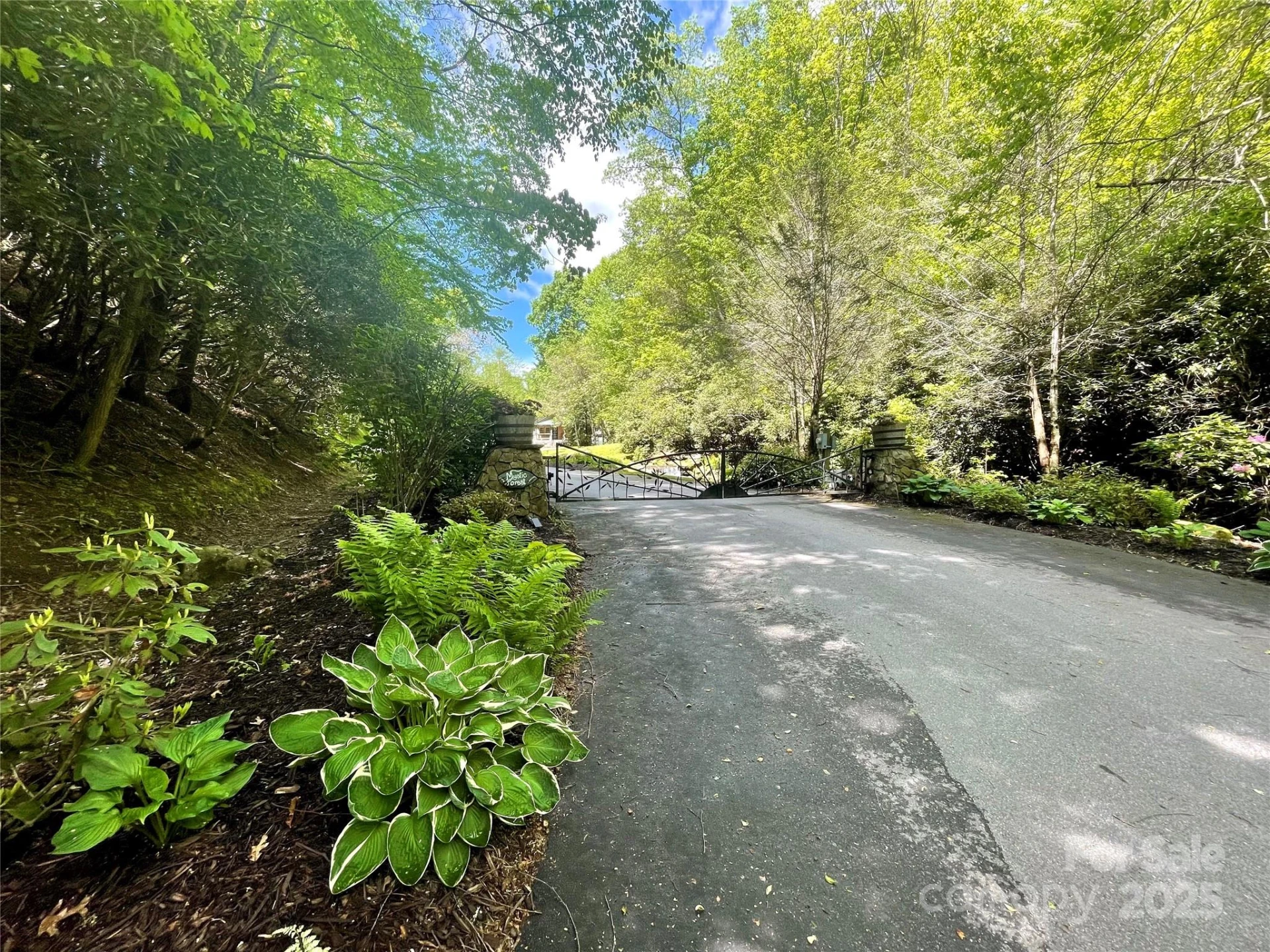 Lot 10 Mystic Forest Way #10 - Photo 5
