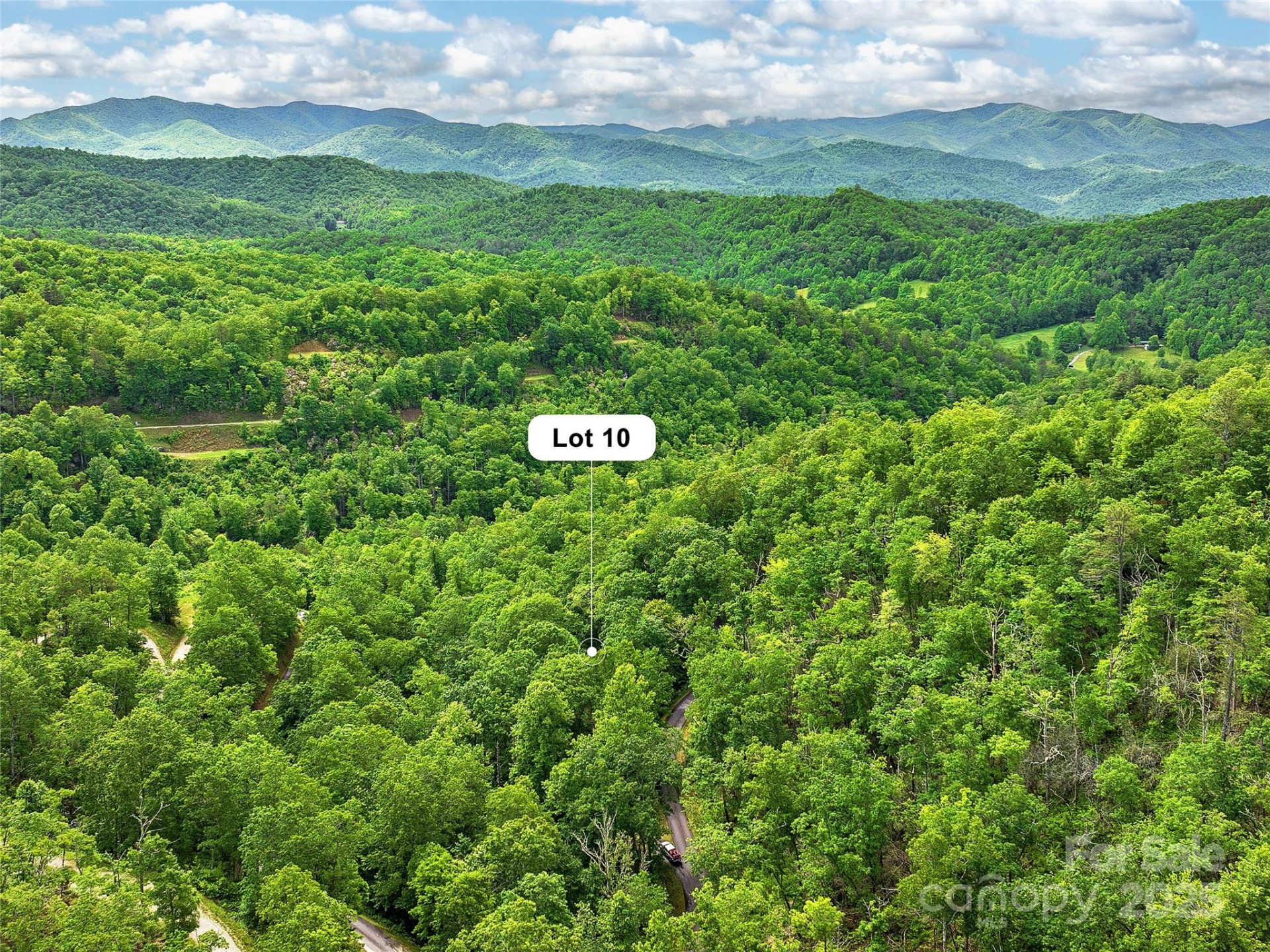 Lot 10 Mystic Forest Way #10 - Photo 43