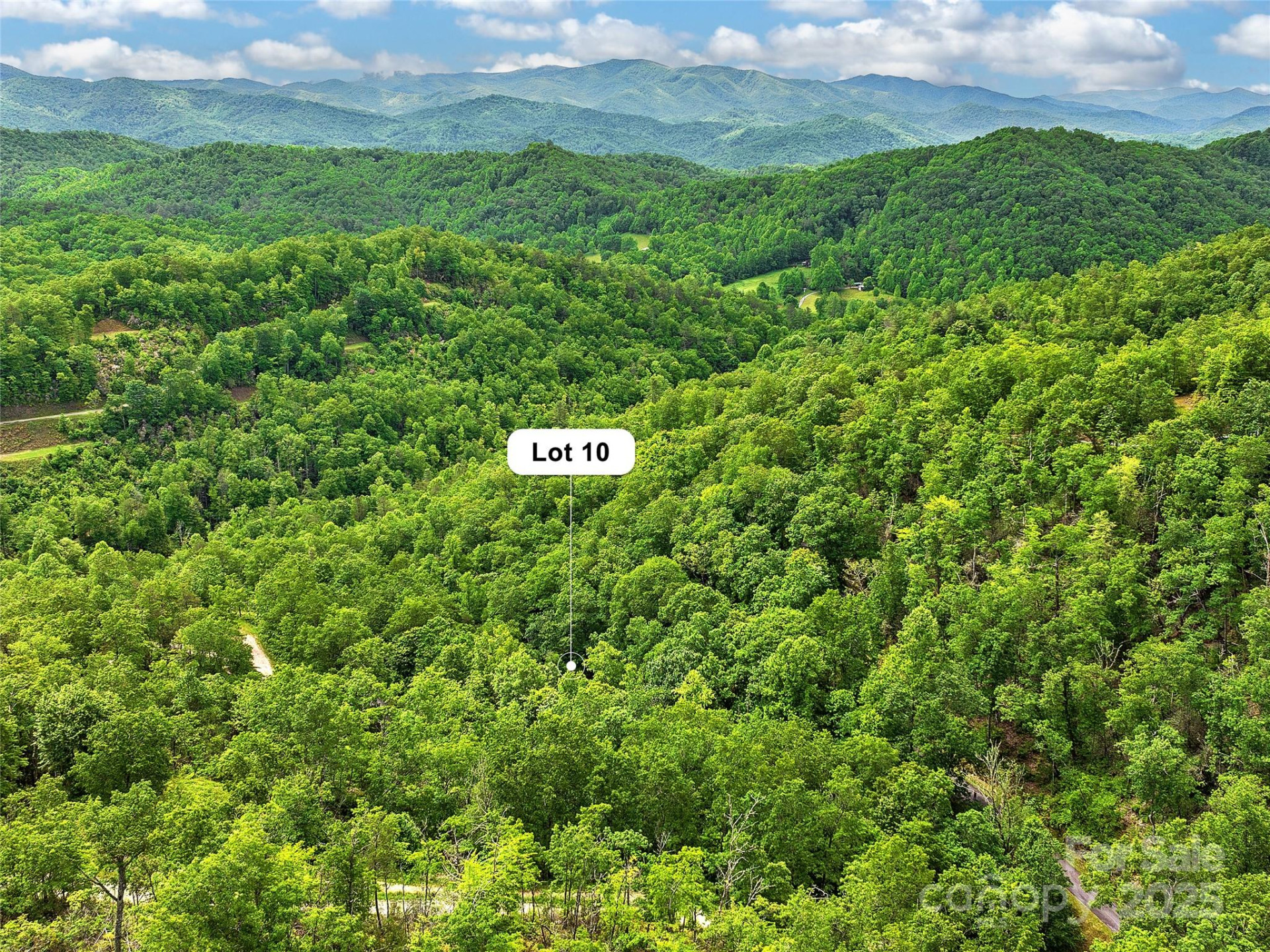 Lot 10 Mystic Forest Way #10 - Photo 44