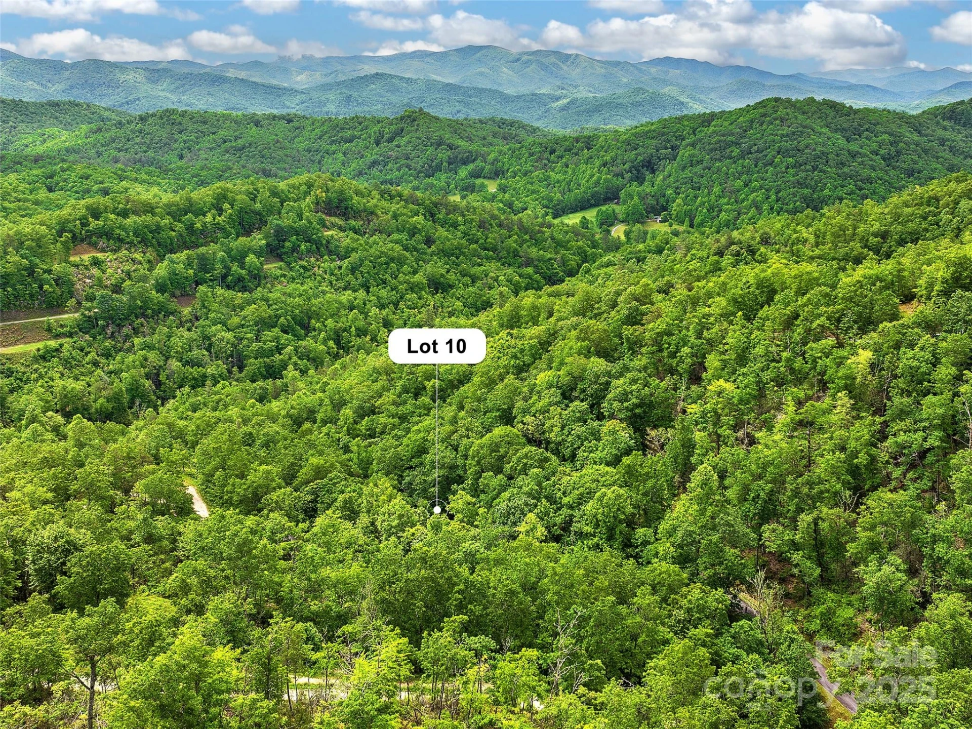 Lot 10 Mystic Forest Way #10 - Photo 44