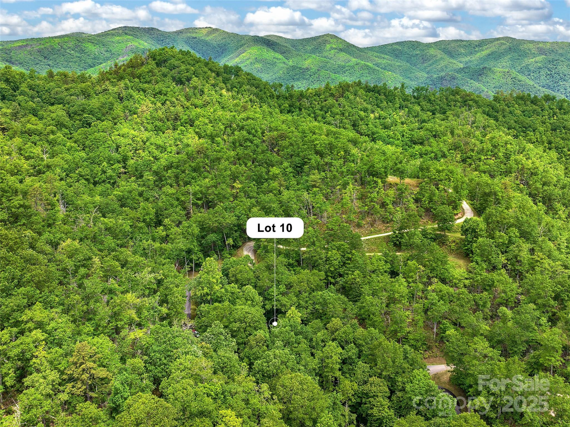 Lot 10 Mystic Forest Way #10 - Photo 45