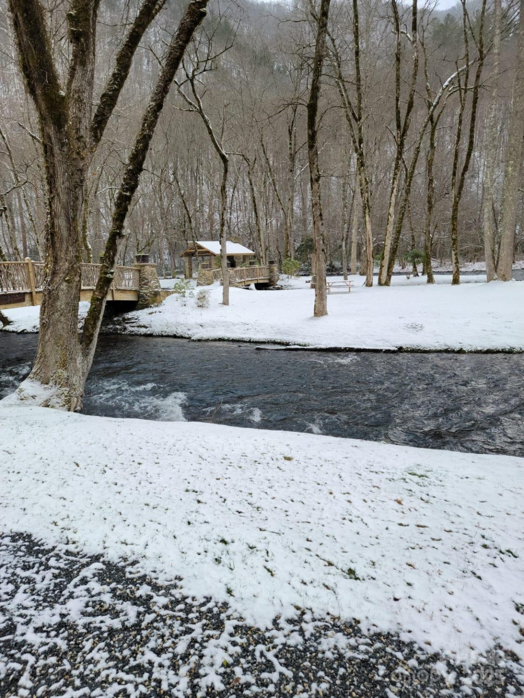 Lot 10 Mystic Forest Way #10 - Photo 48