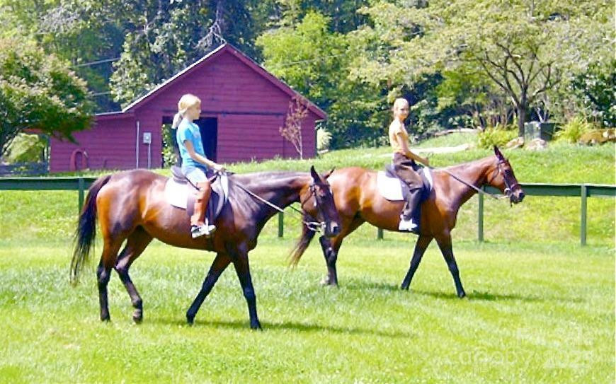 Lot 10 Mystic Forest Way #10 - Photo 10