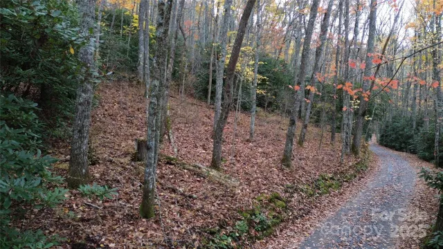 Lt 7 Buck Knob None, Cullowhee, NC, 28723