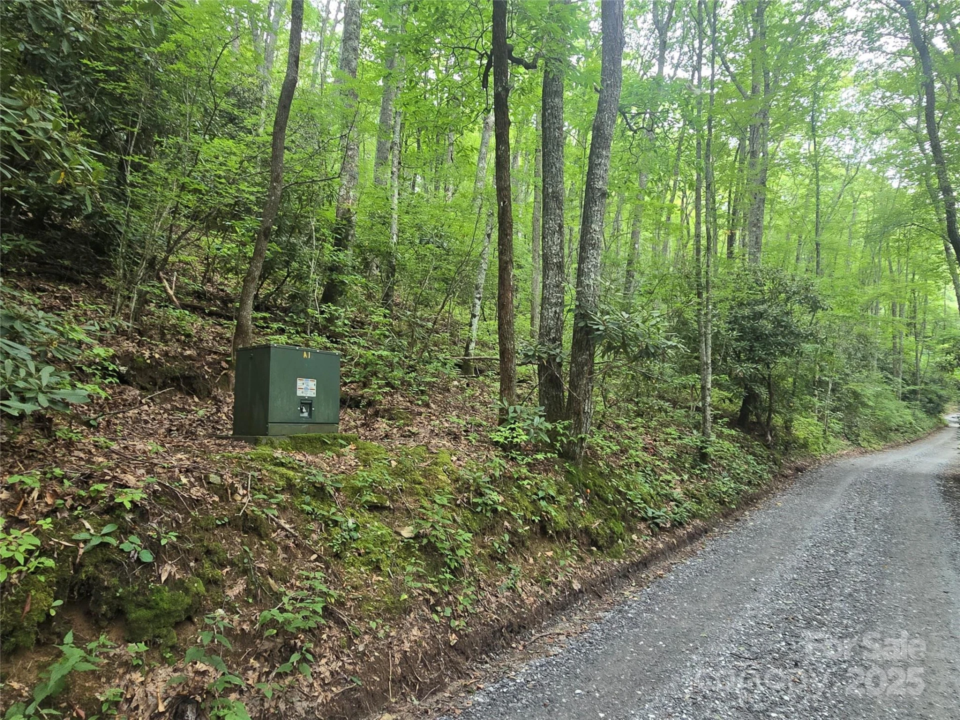 Lt 7 Buck Knob None - Photo 2