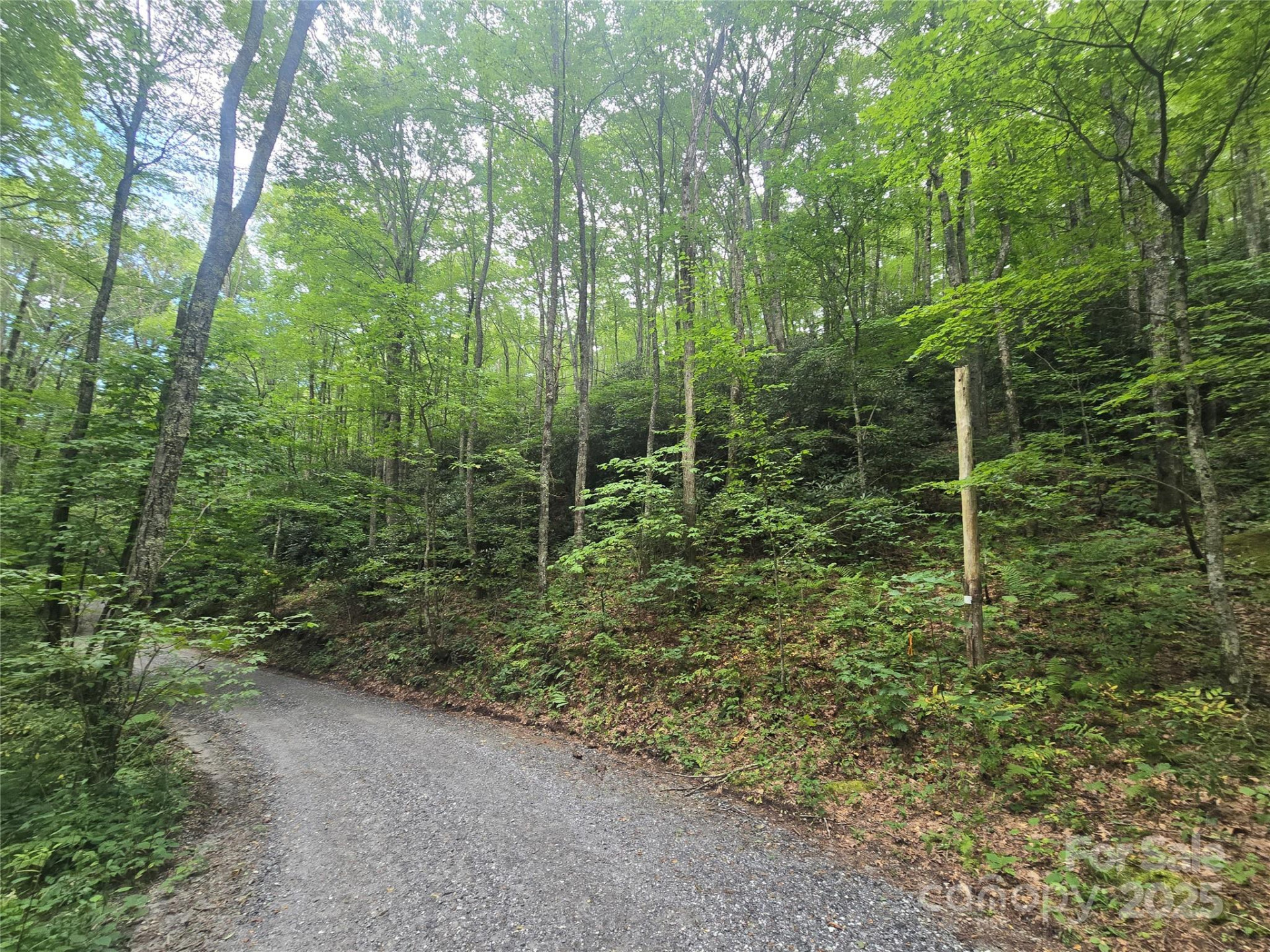 Lt 7 Buck Knob None - Photo 13