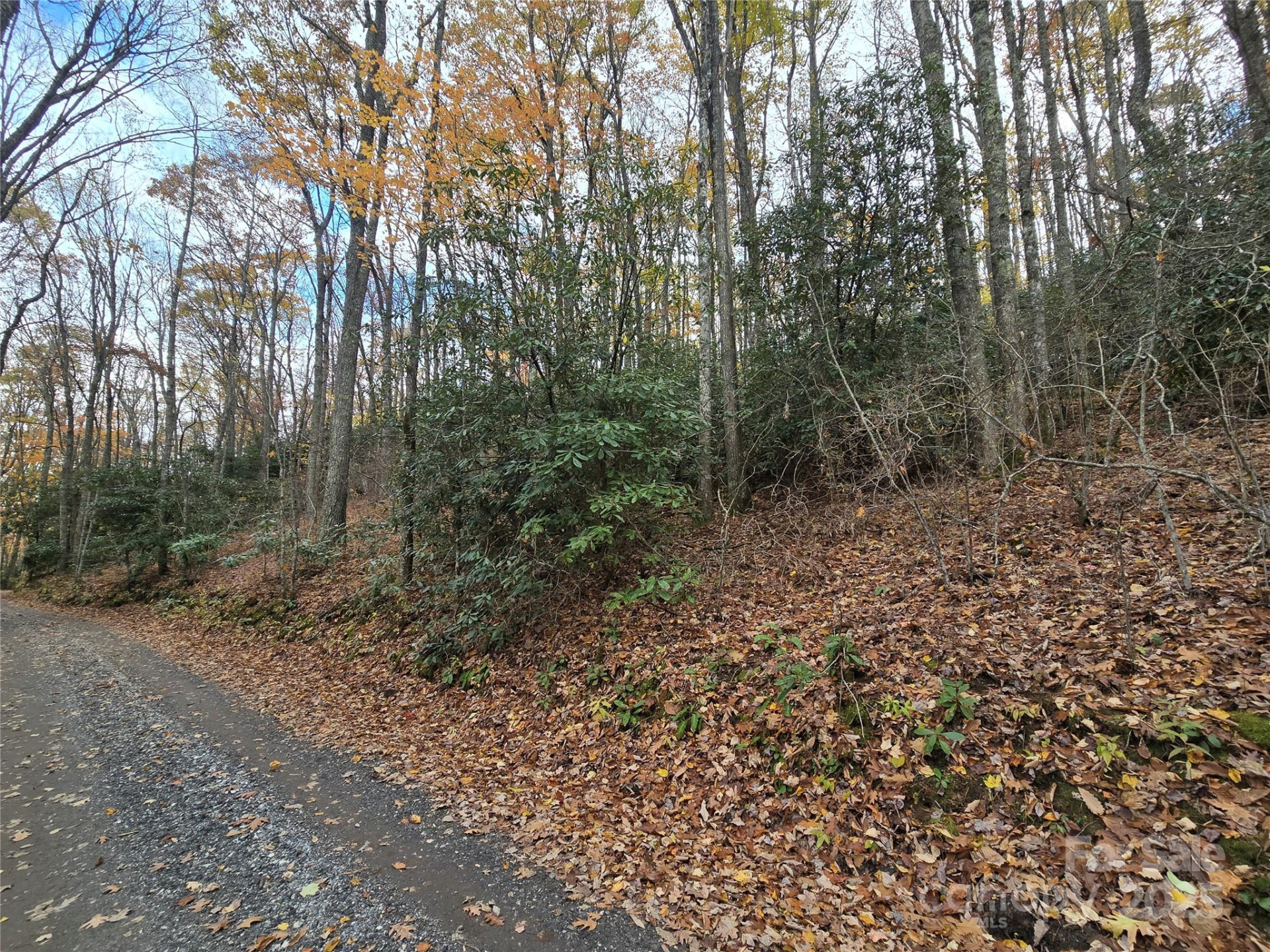 Lt 7 Buck Knob None - Photo 15