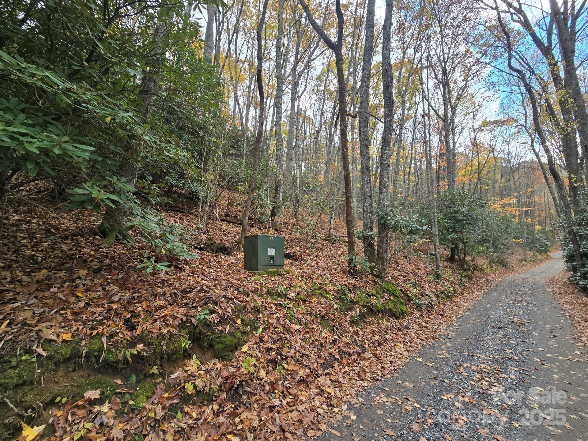 Lt 7 Buck Knob None - Photo 16