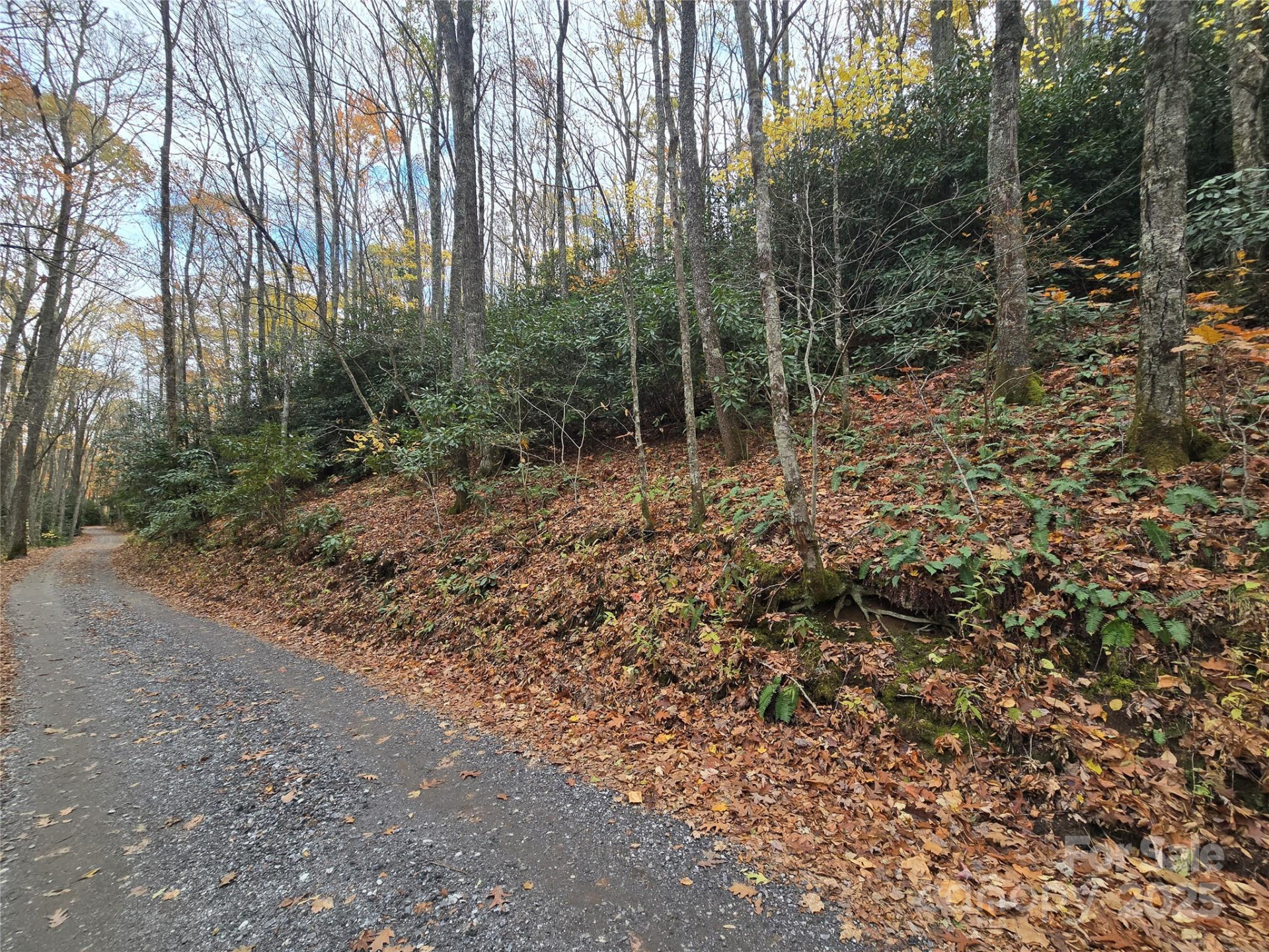 Lt 7 Buck Knob None - Photo 18