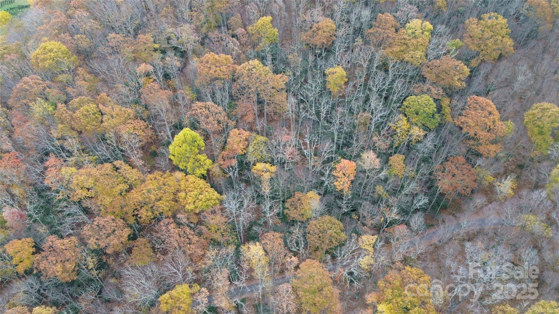 Lt 7 Buck Knob None - Photo 20