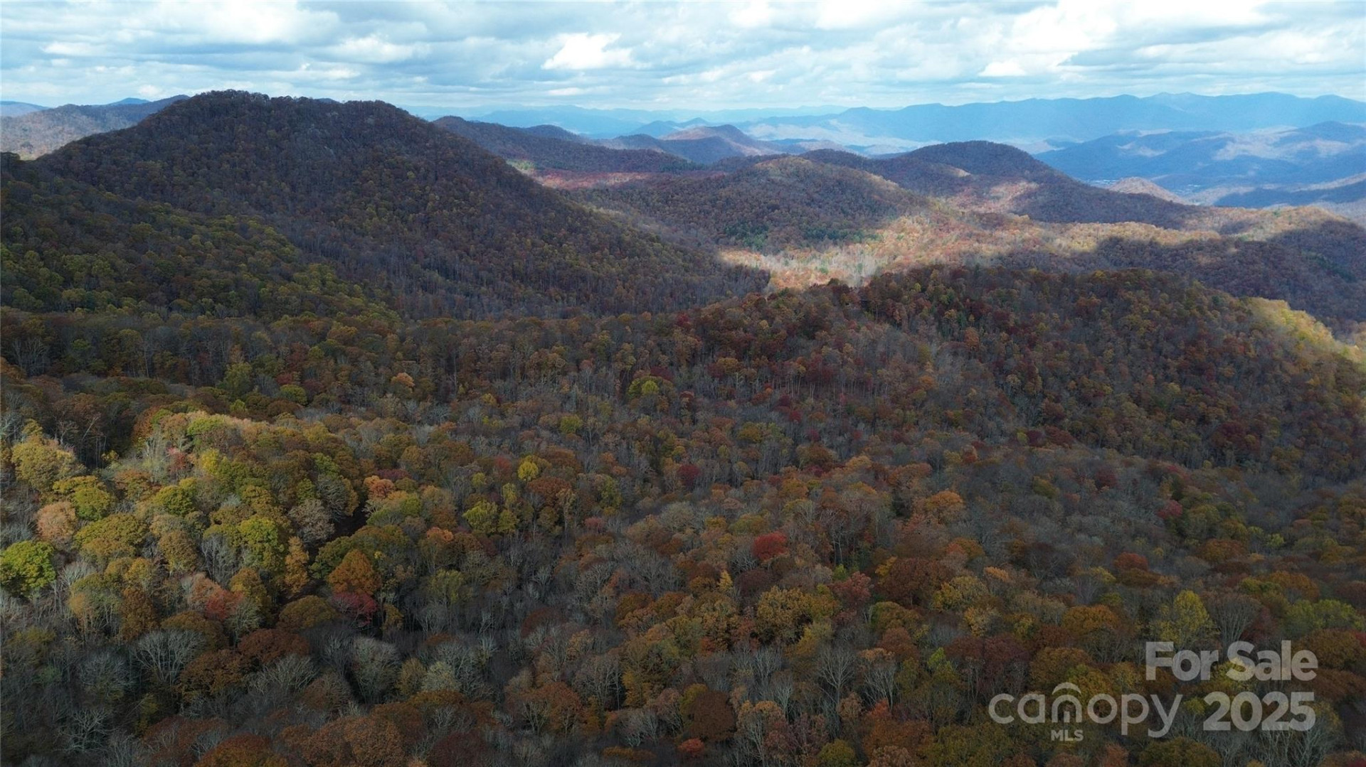 Lt 7 Buck Knob None - Photo 24