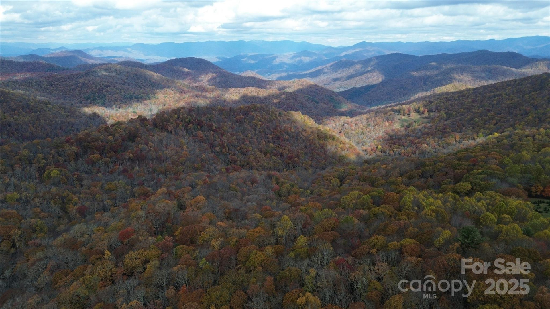 Lt 7 Buck Knob None - Photo 4