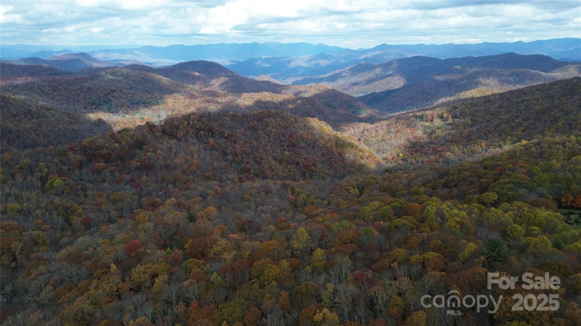 Lt 7 Buck Knob None - Photo 4