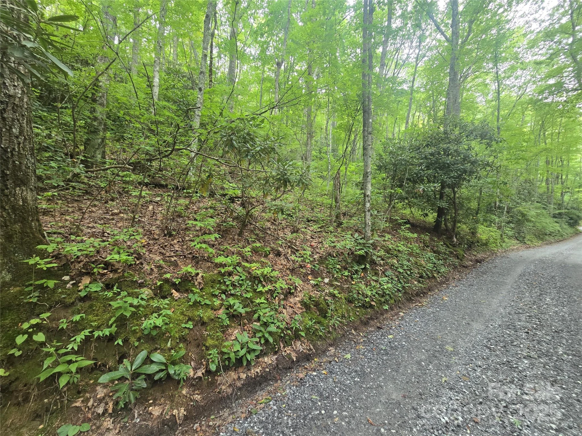 Lt 7 Buck Knob None - Photo 6