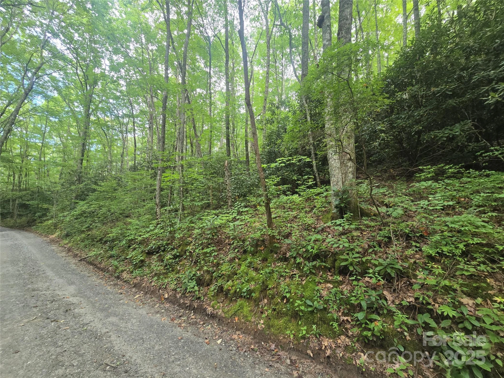 Lt 7 Buck Knob None - Photo 8