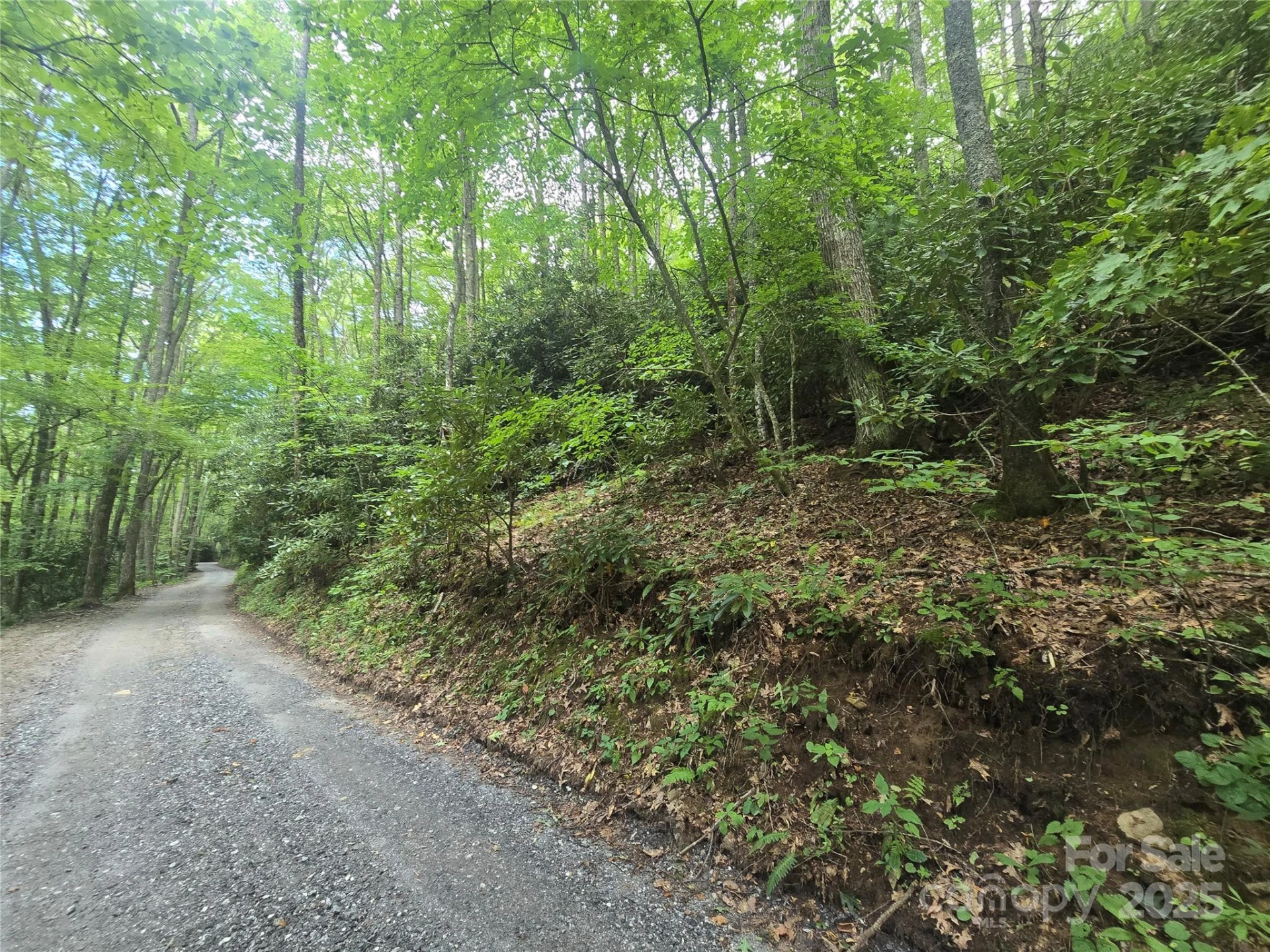 Lt 7 Buck Knob None - Photo 10