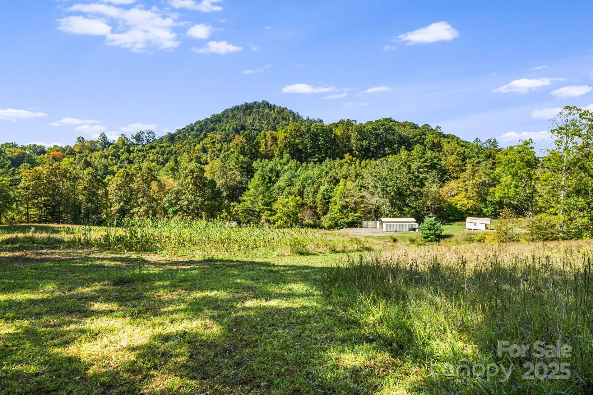 456 Maney Branch Road - Photo 2