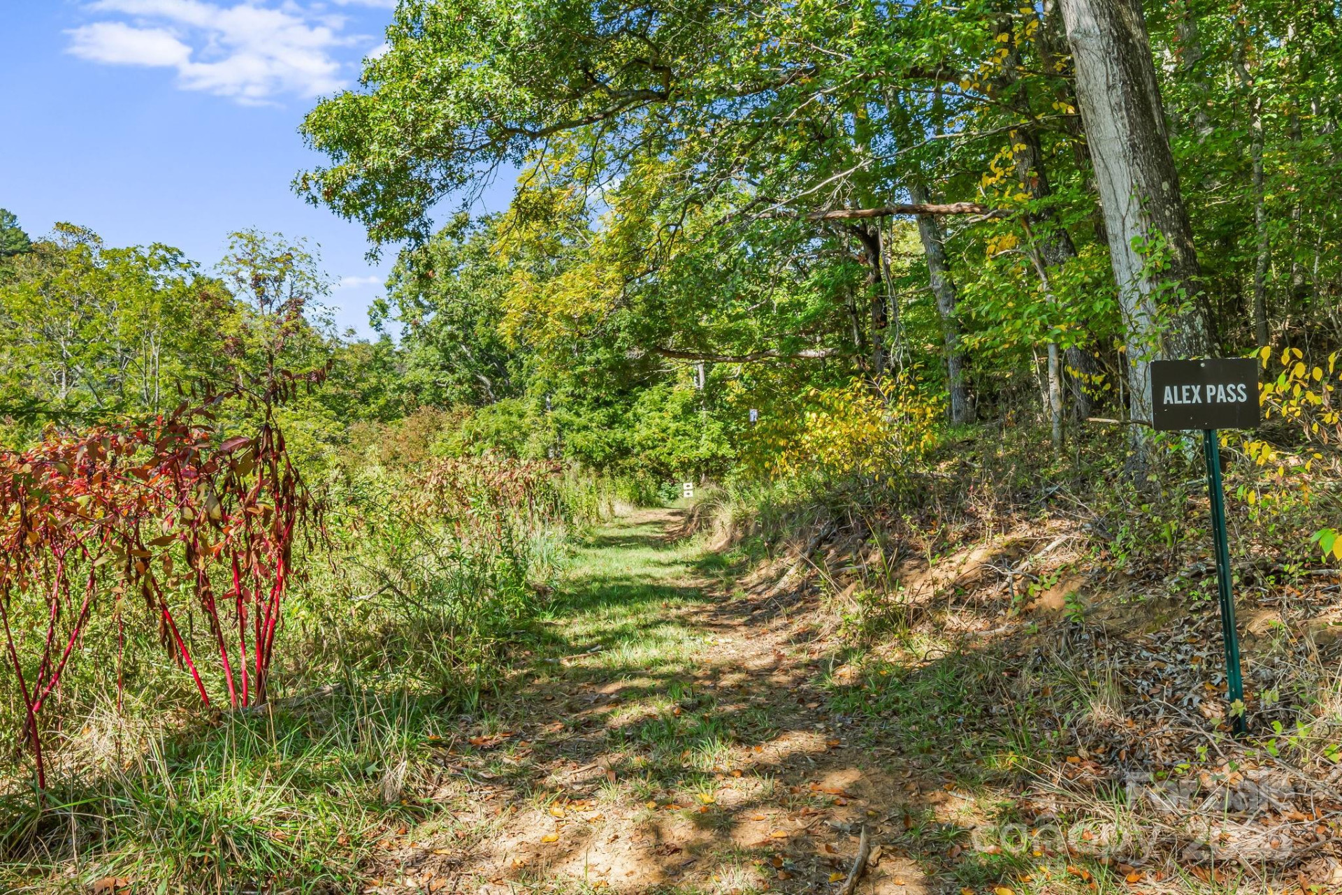 456 Maney Branch Road - Photo 3