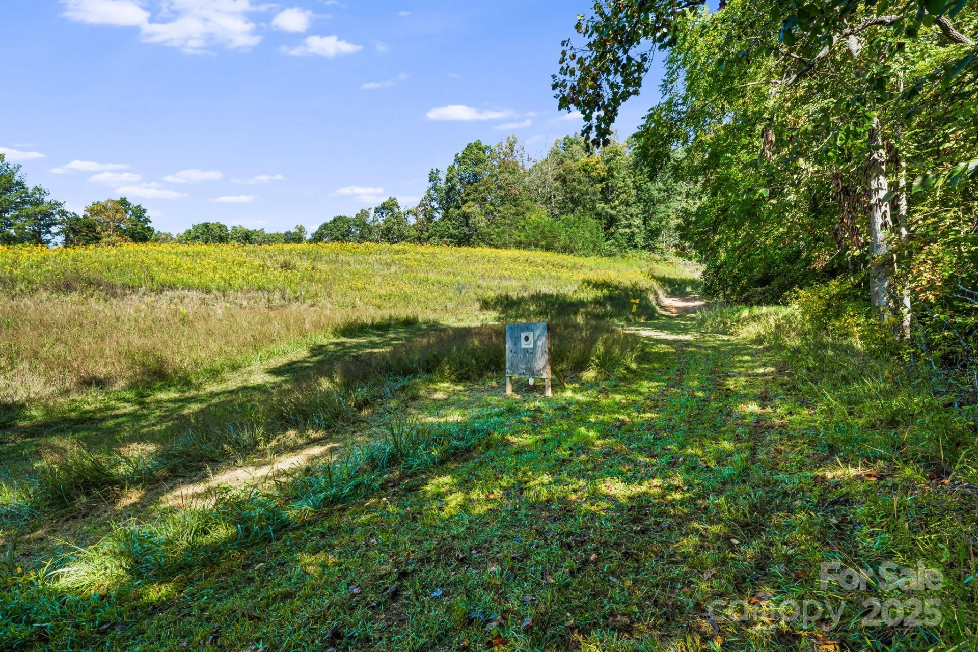 456 Maney Branch Road - Photo 27