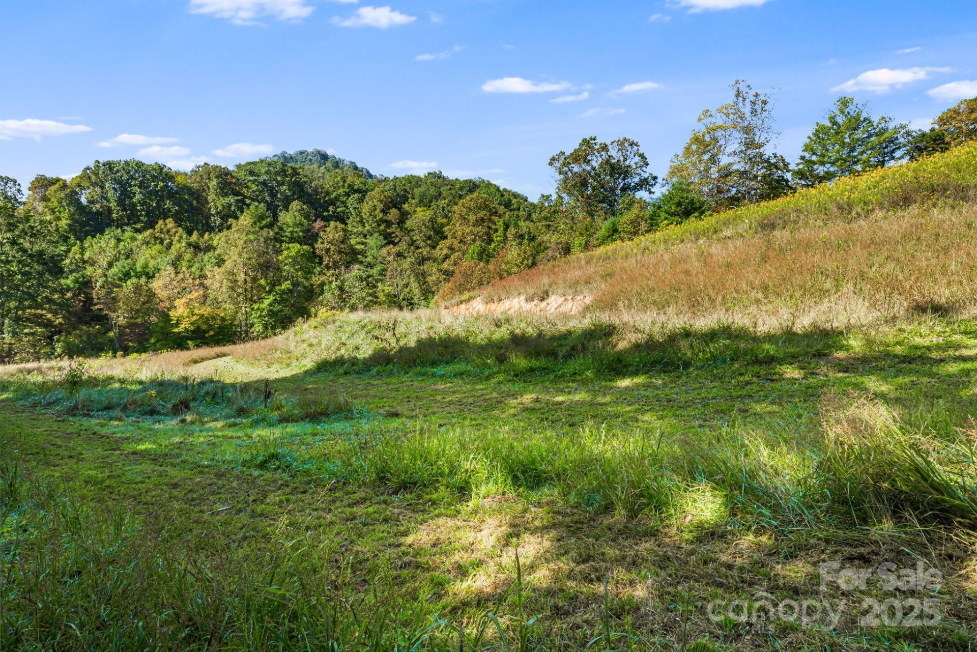 456 Maney Branch Road - Photo 28