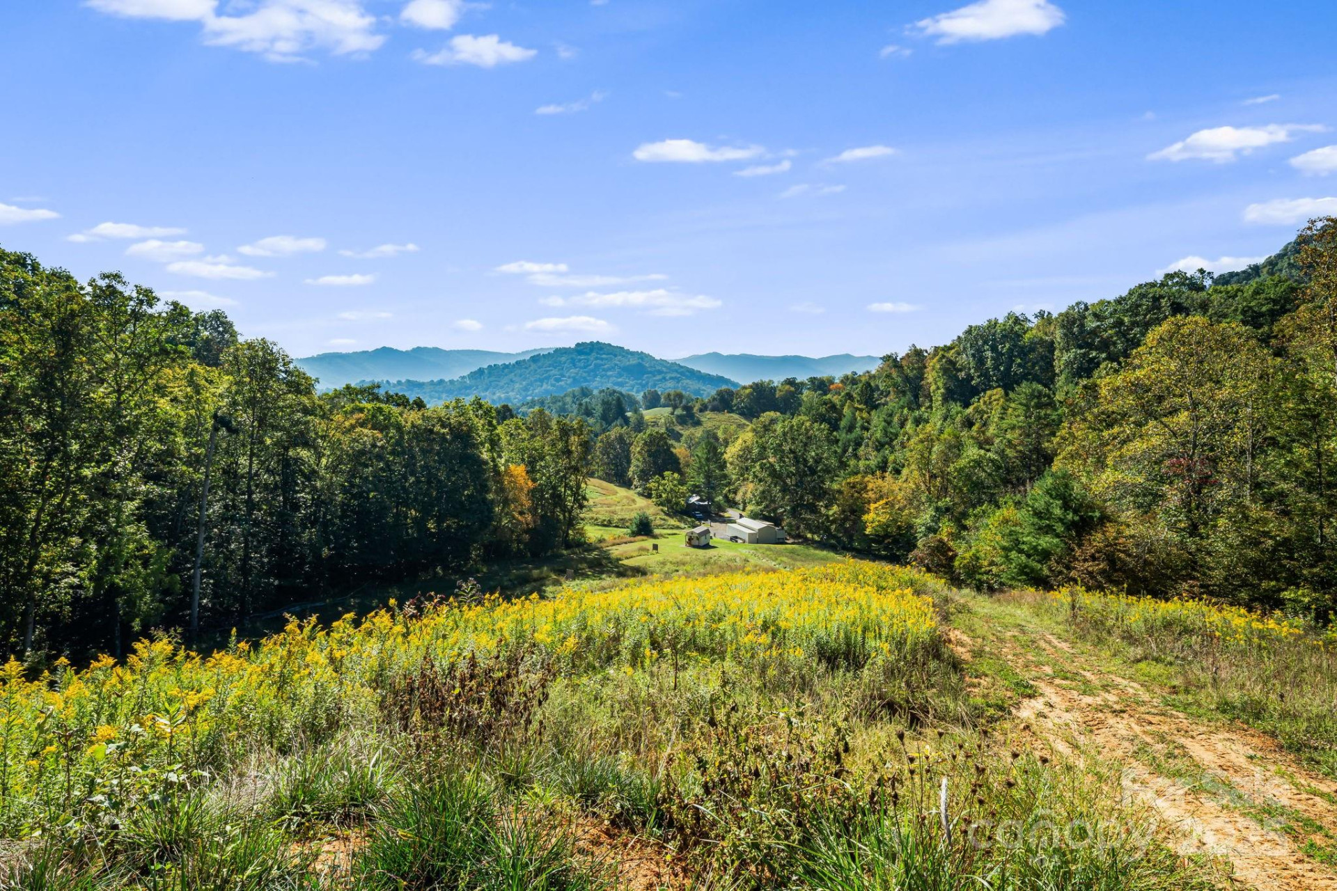 456 Maney Branch Road - Photo 29