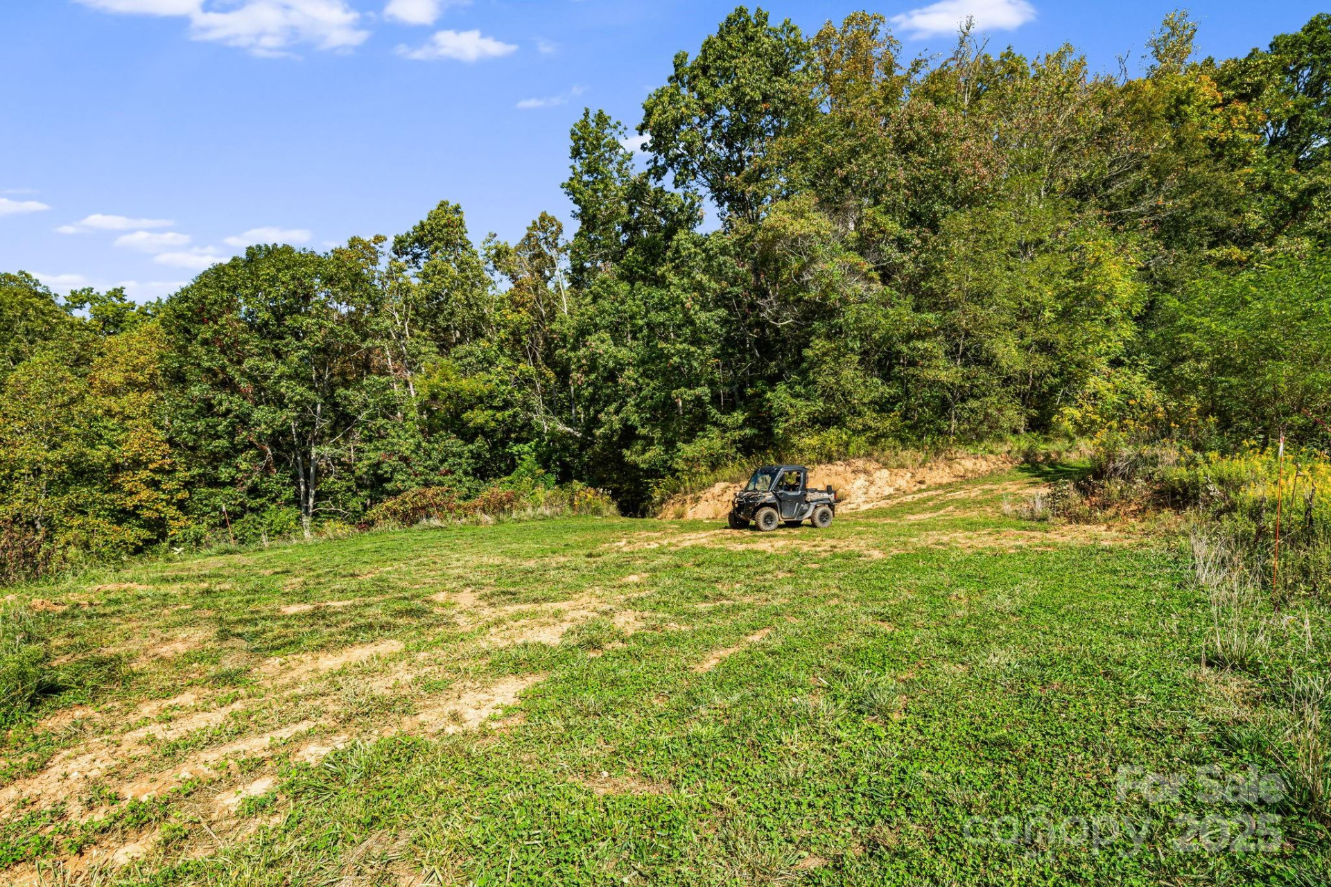 456 Maney Branch Road - Photo 30