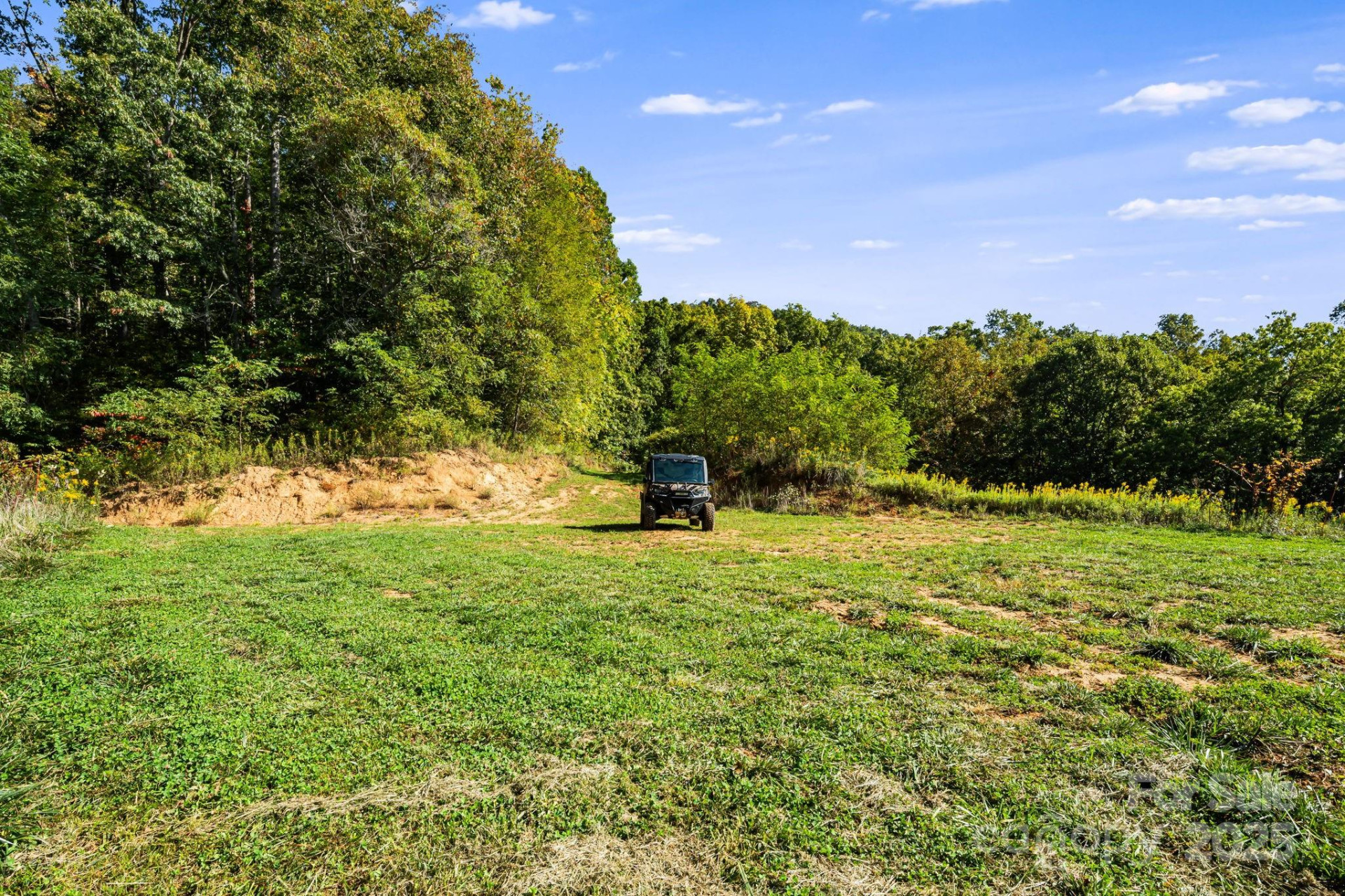 456 Maney Branch Road - Photo 31