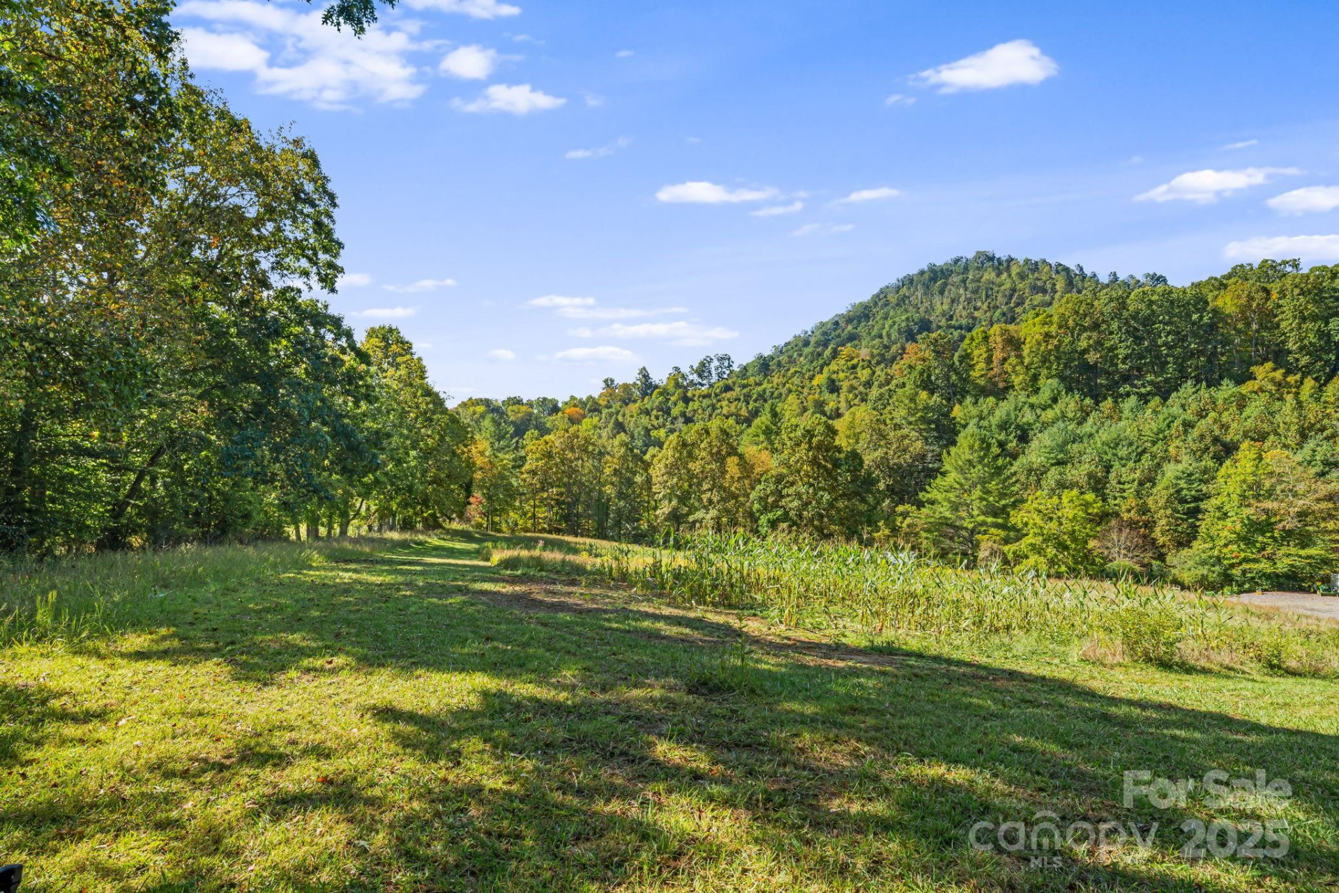 456 Maney Branch Road - Photo 34