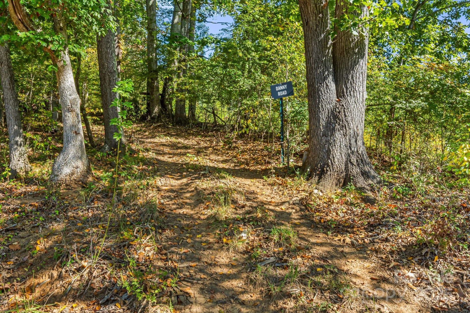 456 Maney Branch Road - Photo 35