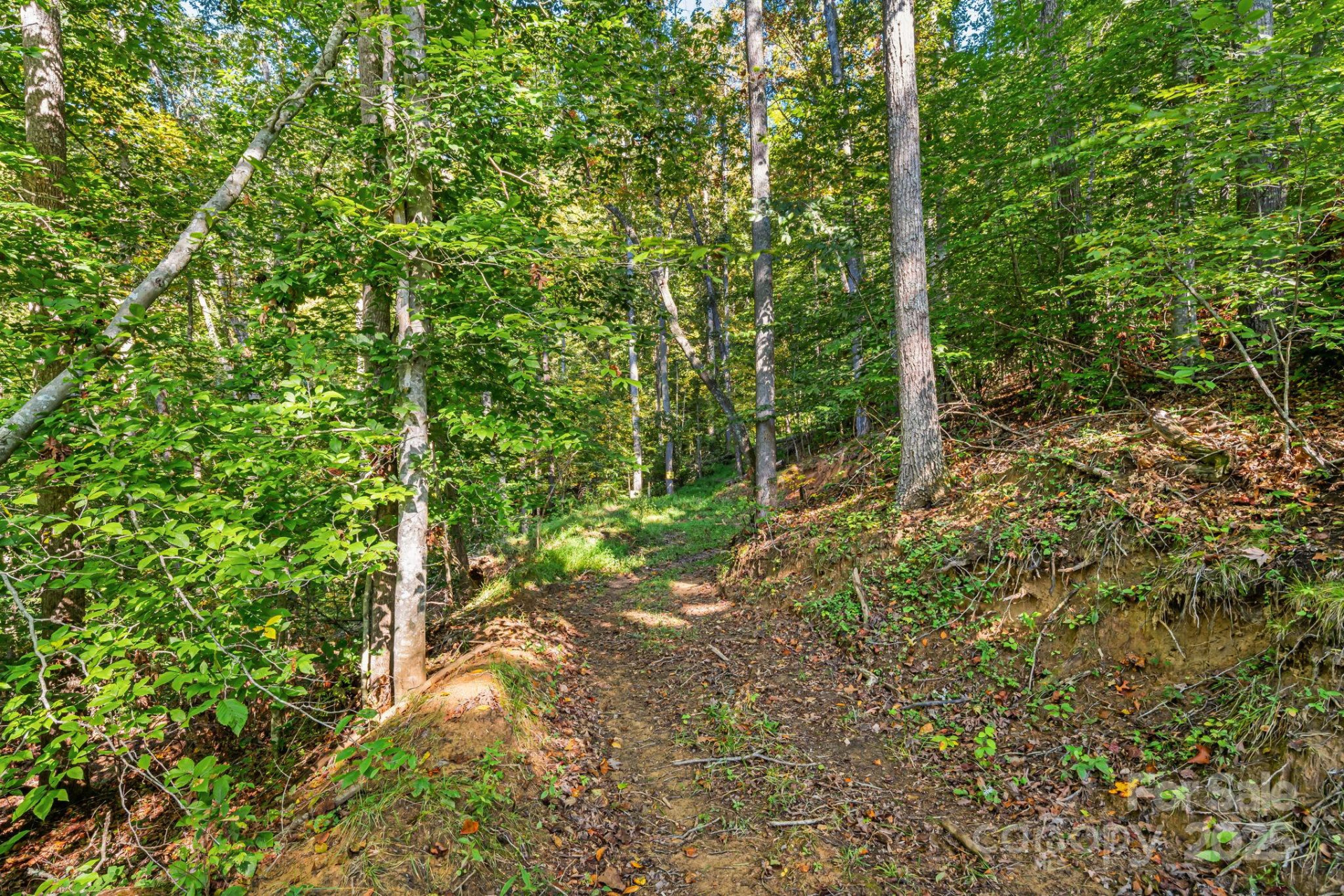 456 Maney Branch Road - Photo 36