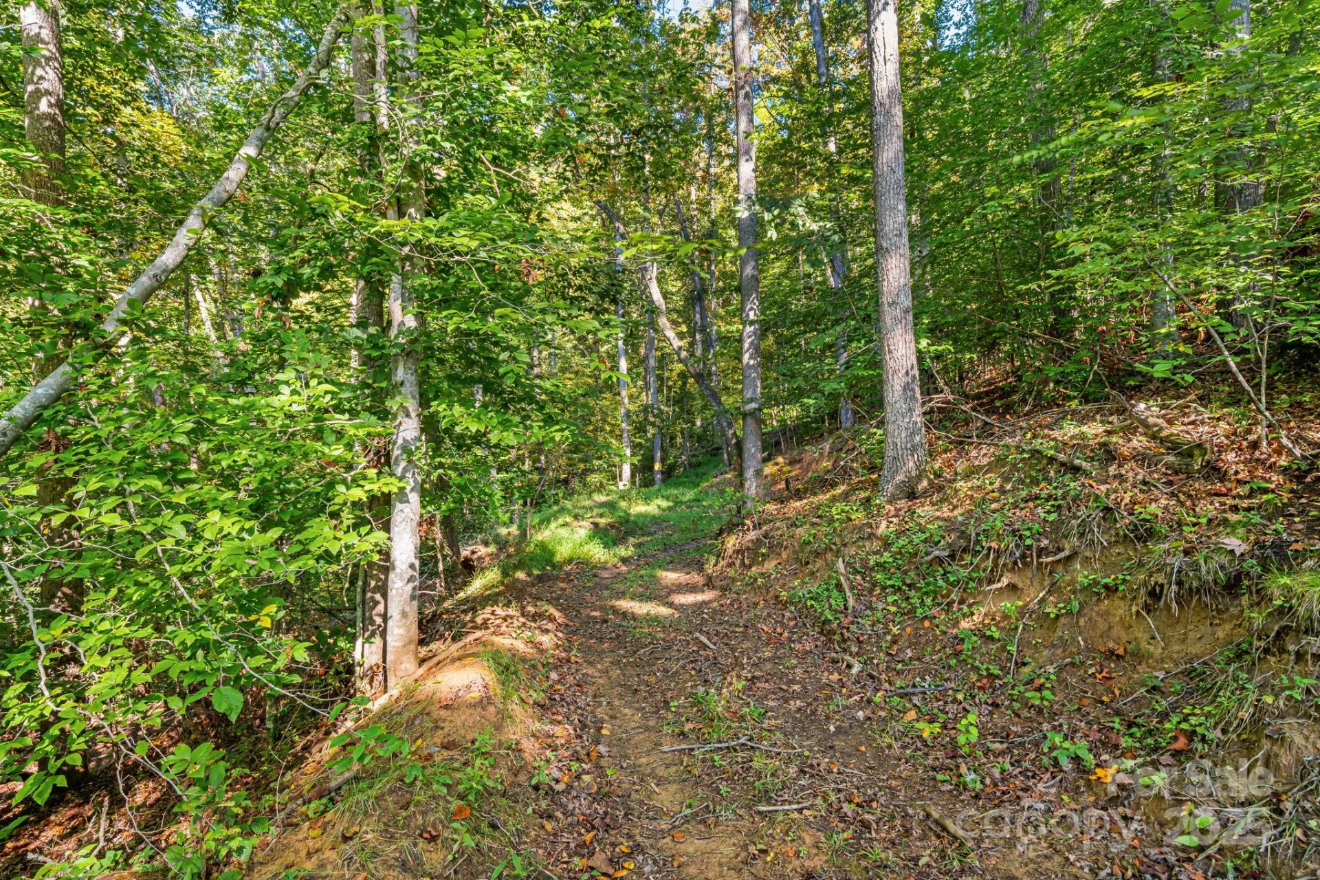 456 Maney Branch Road - Photo 36