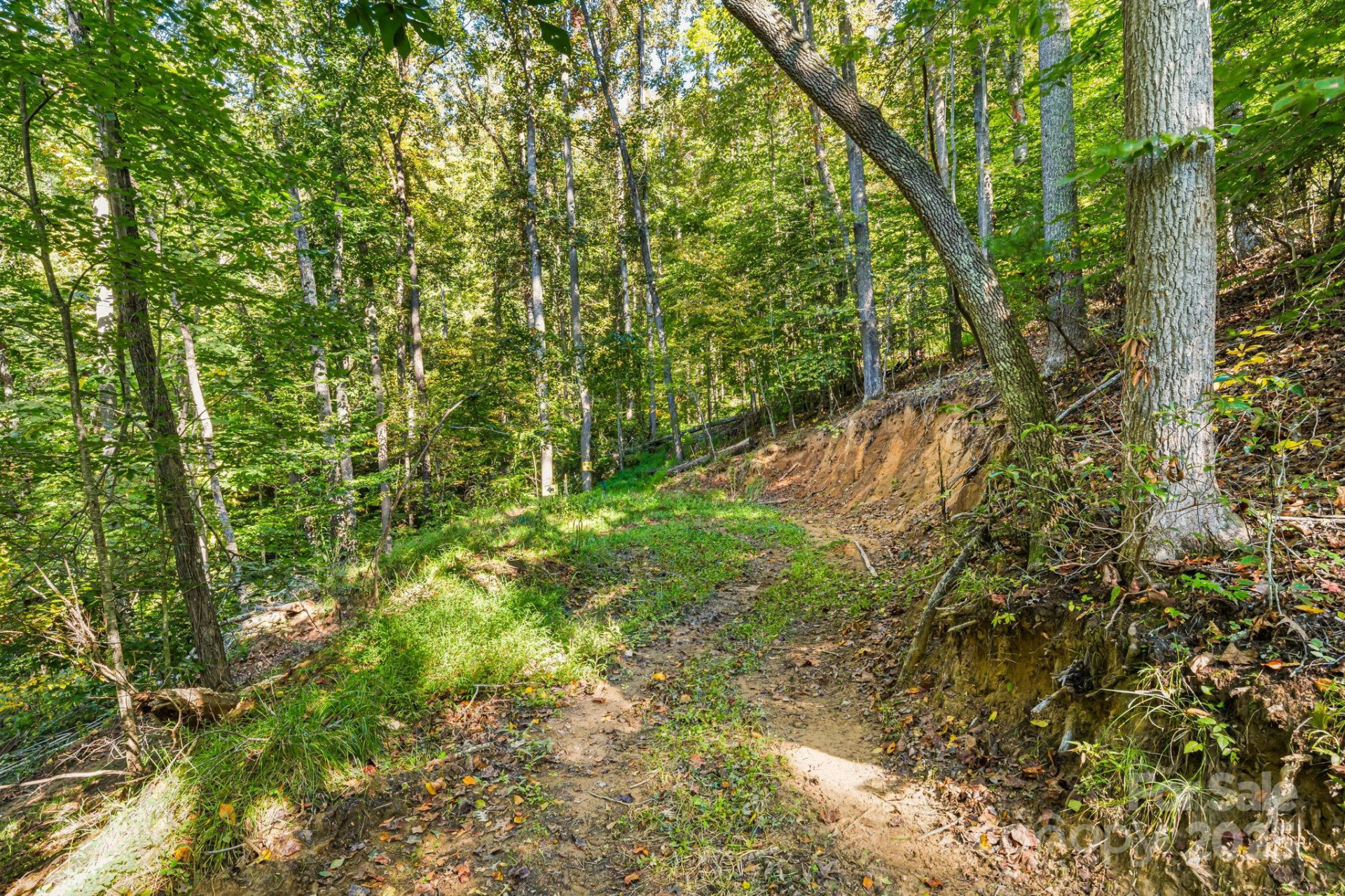 456 Maney Branch Road - Photo 37