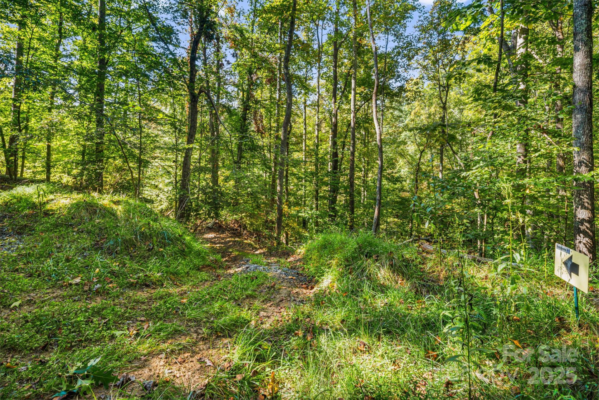 456 Maney Branch Road - Photo 38