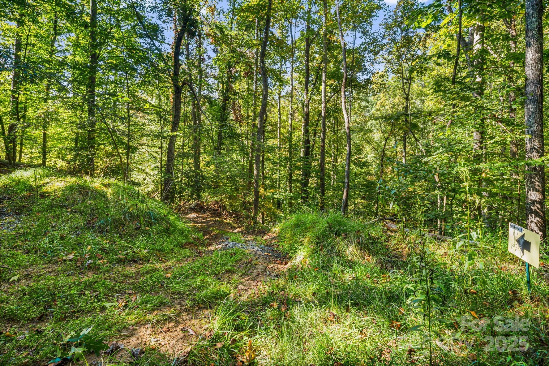 456 Maney Branch Road - Photo 38