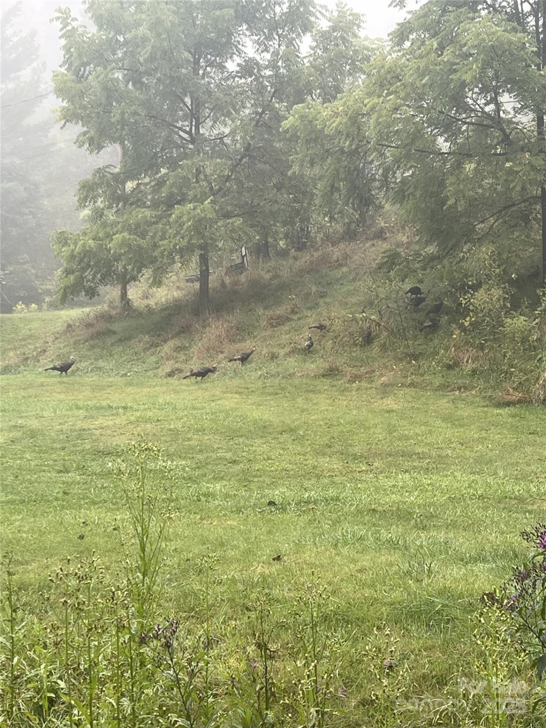 456 Maney Branch Road - Photo 43