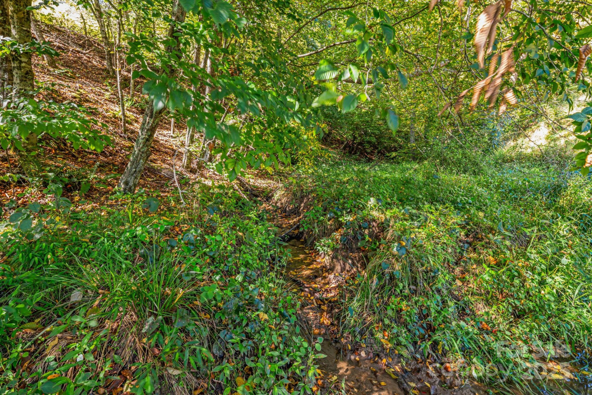 000 Maney Branch Road - Photo 11