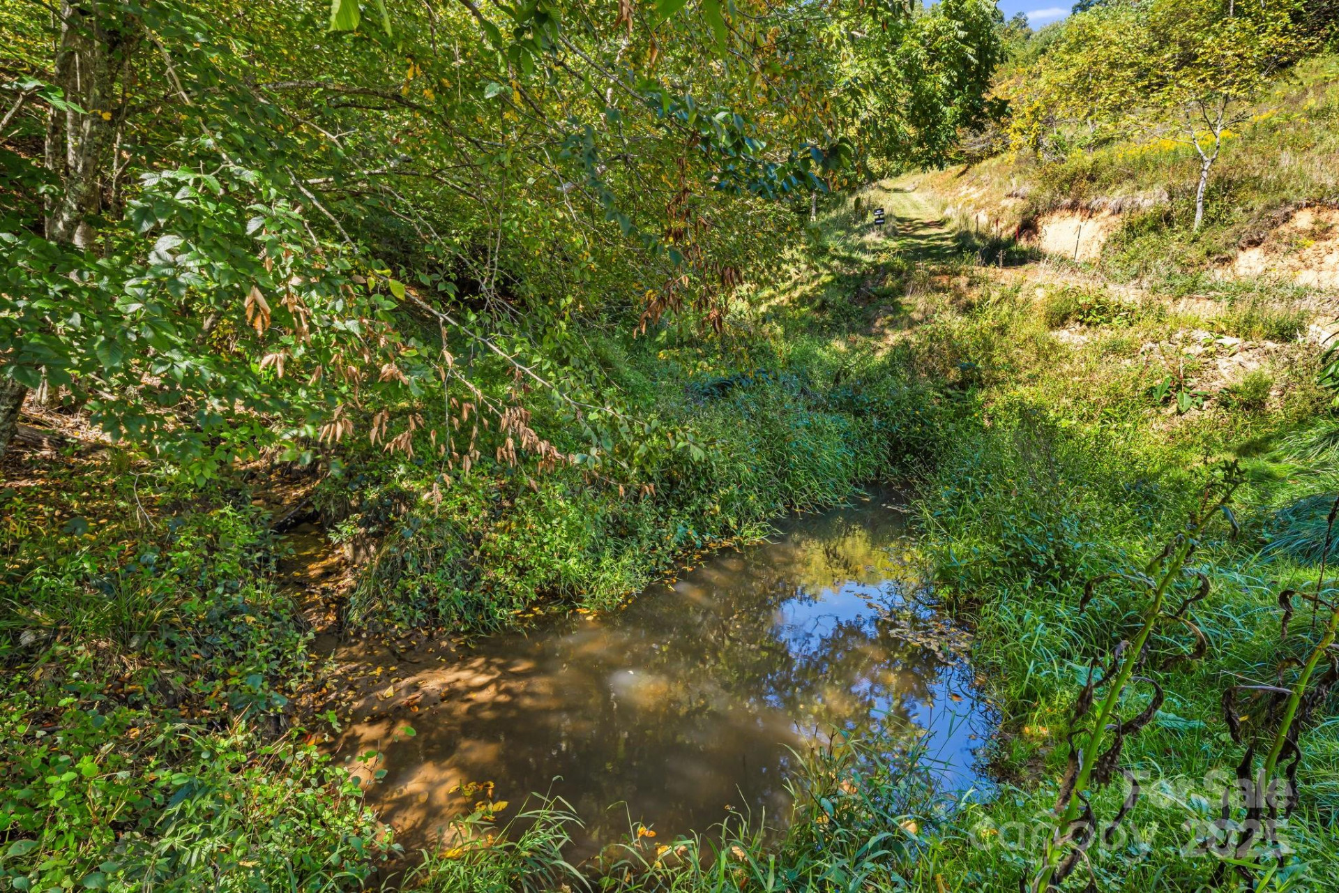 000 Maney Branch Road - Photo 12