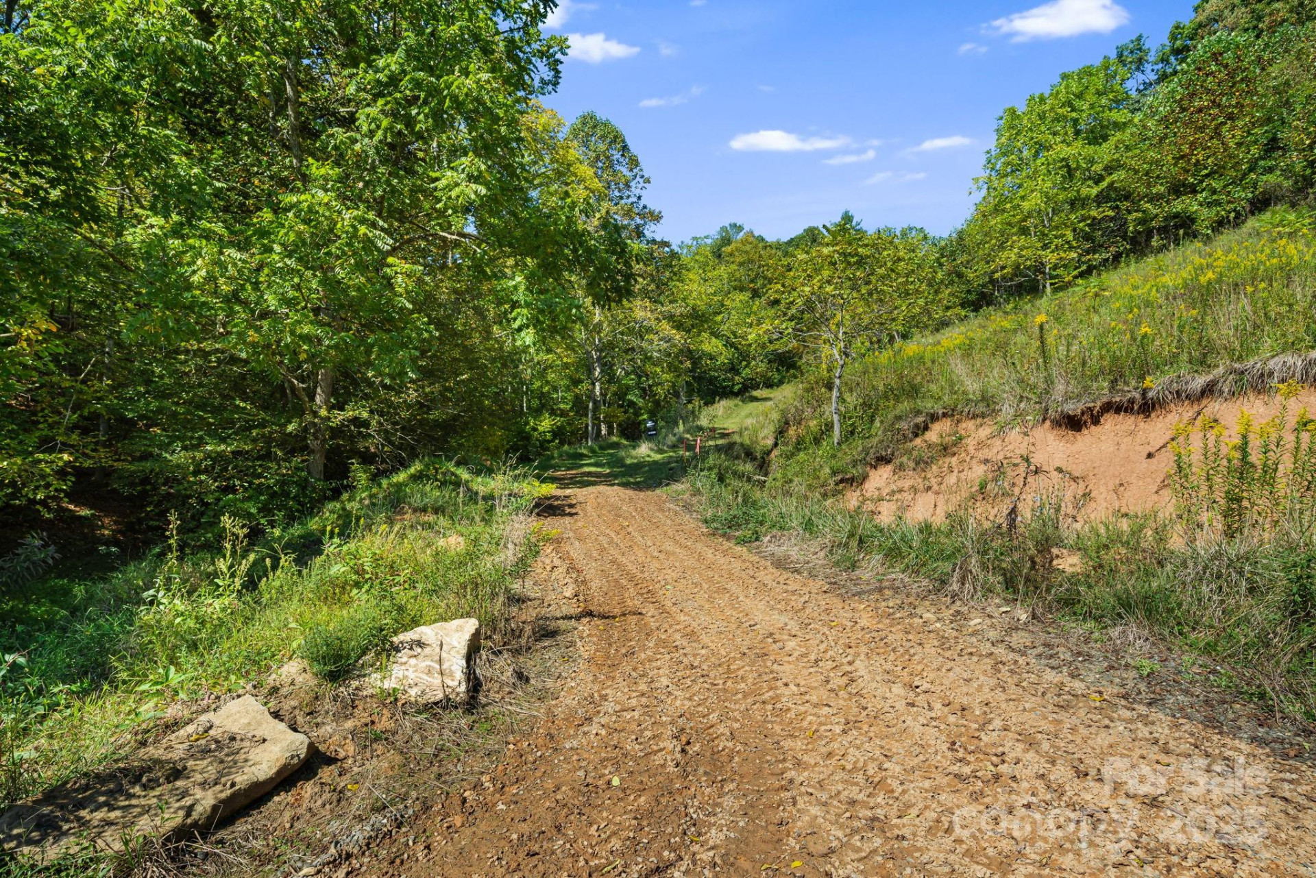 000 Maney Branch Road - Photo 13