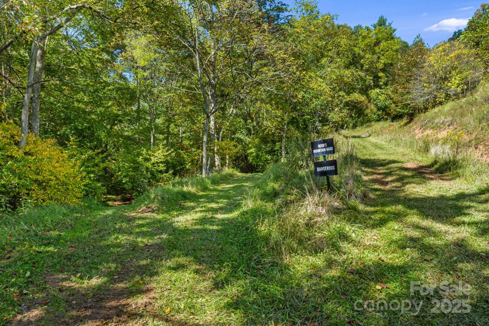 000 Maney Branch Road - Photo 14