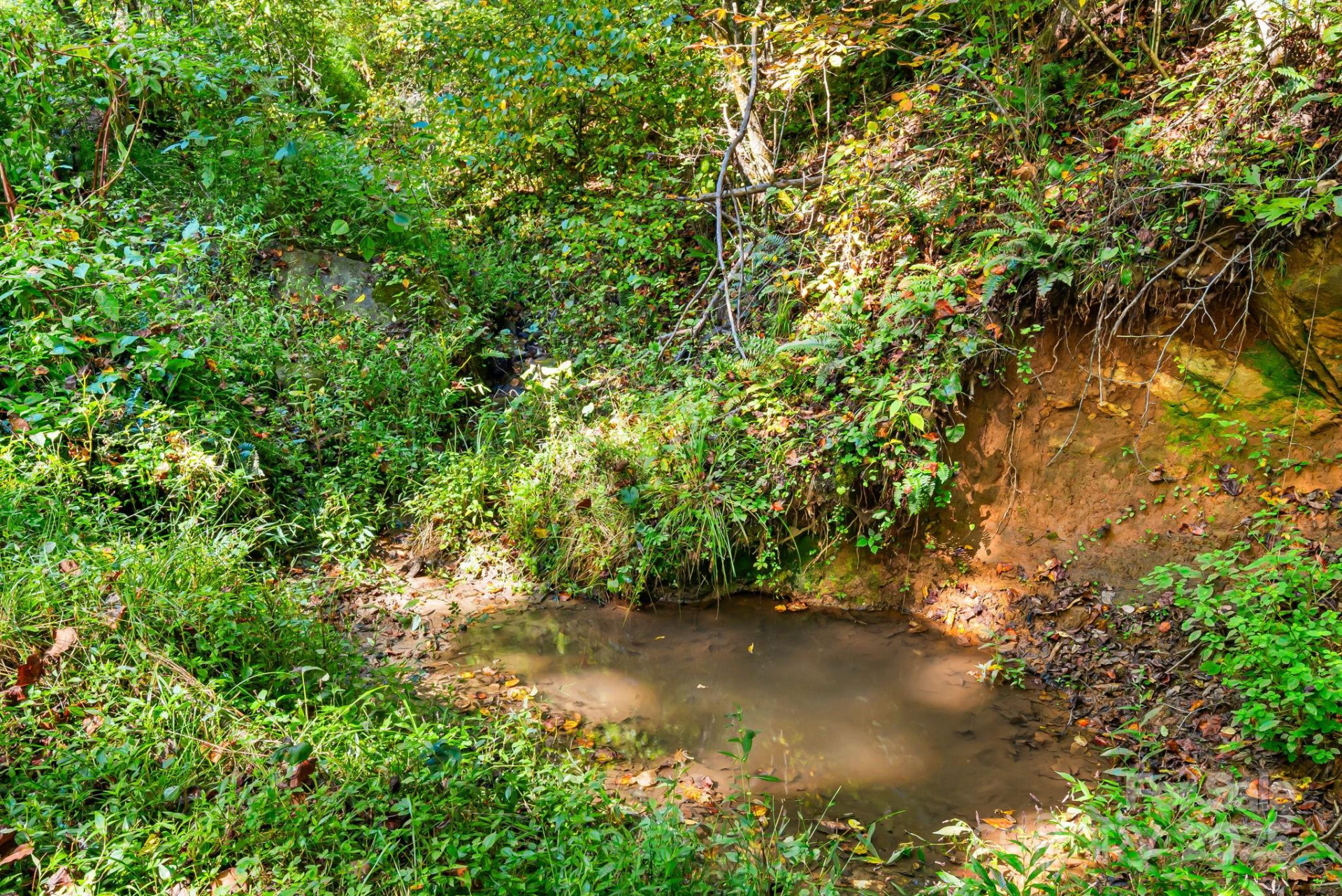 000 Maney Branch Road - Photo 15