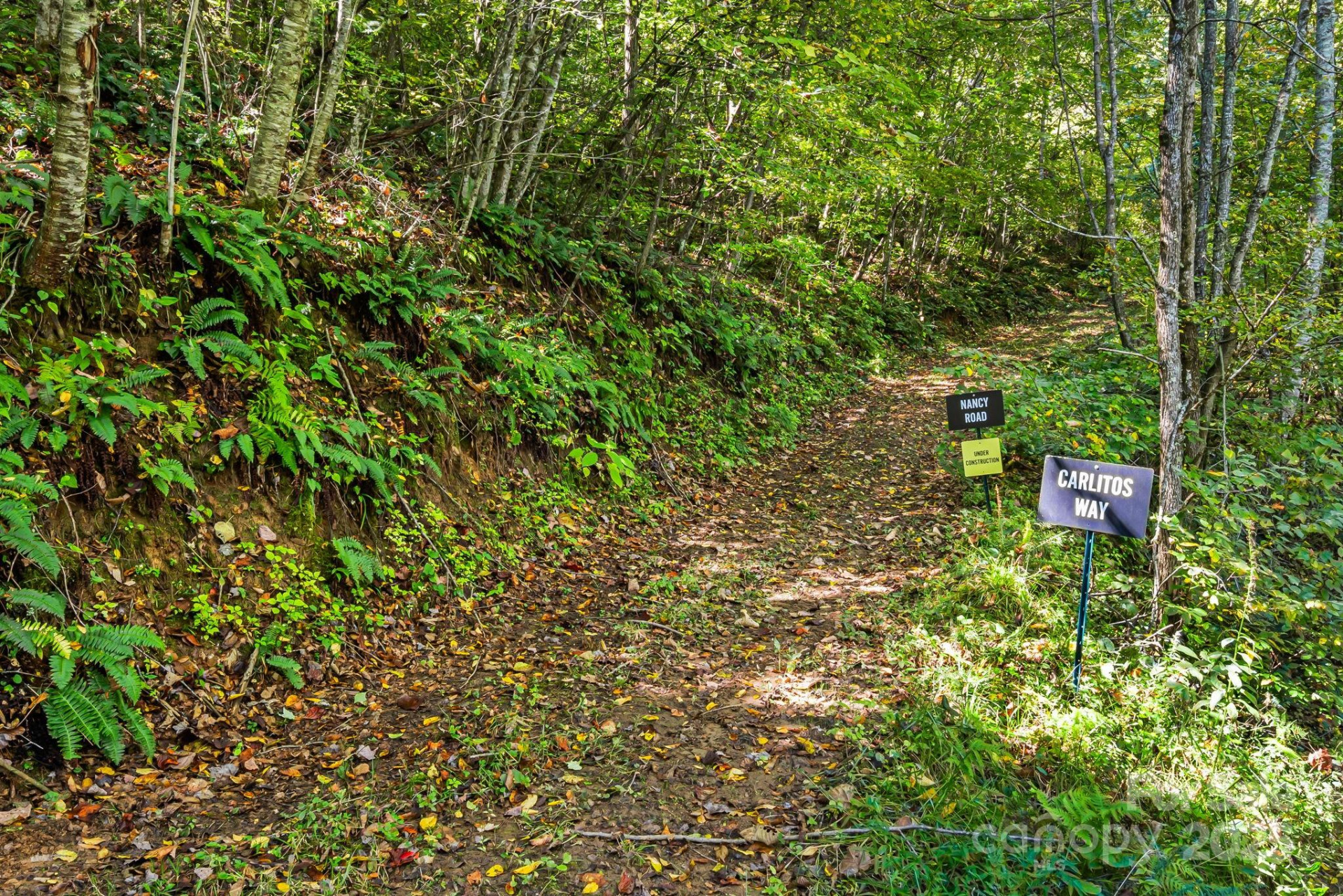 000 Maney Branch Road - Photo 16