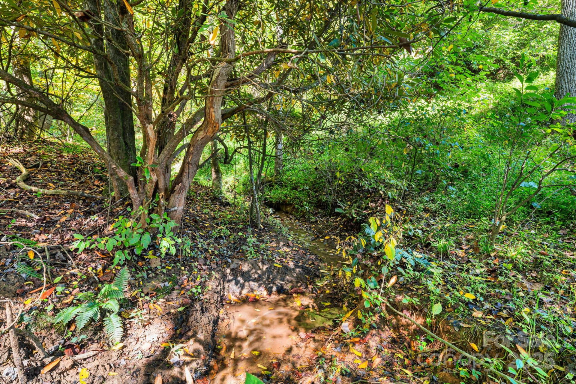 000 Maney Branch Road - Photo 18