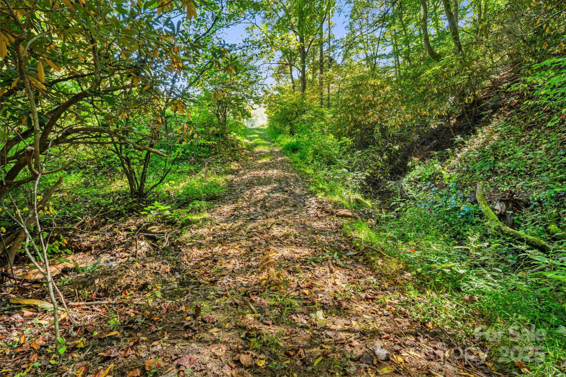 000 Maney Branch Road - Photo 20