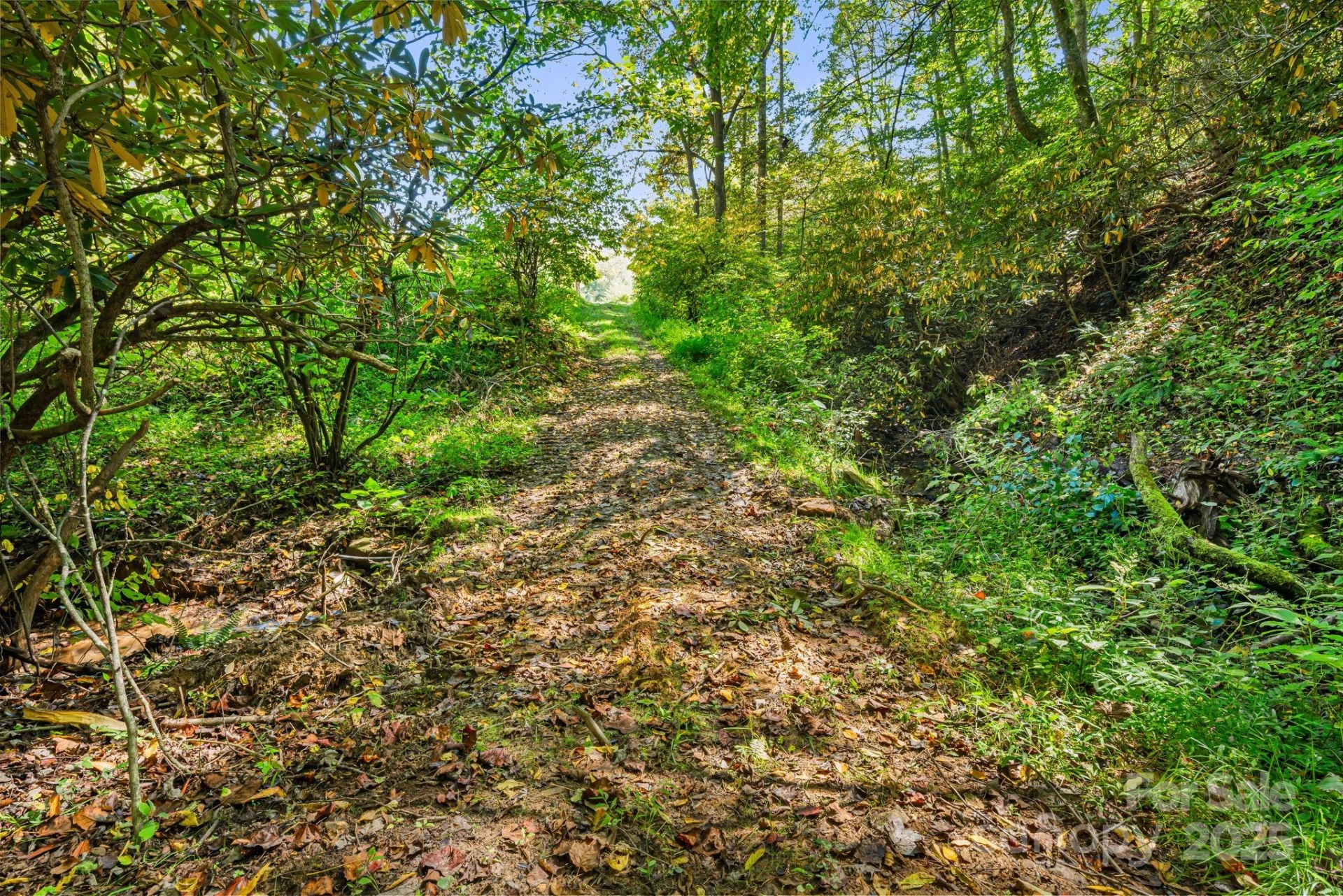 000 Maney Branch Road - Photo 20