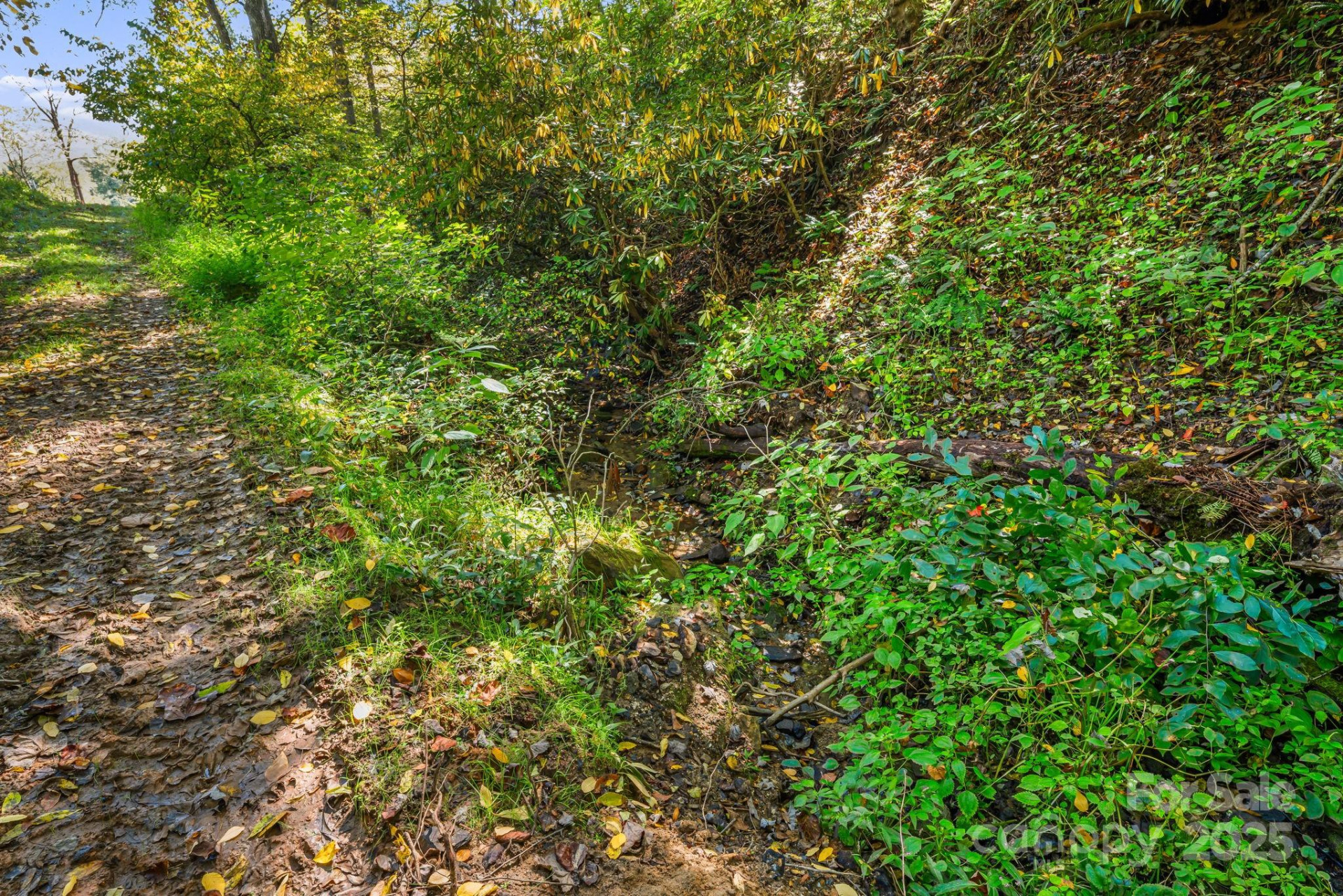 000 Maney Branch Road - Photo 21